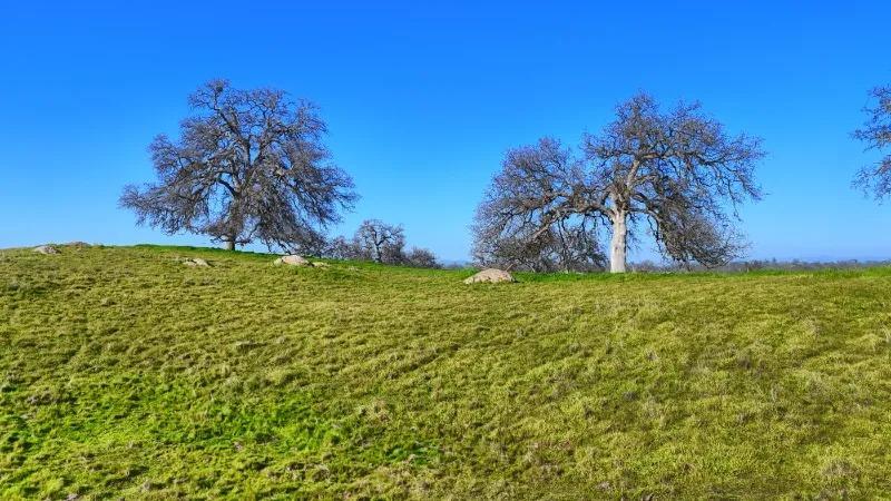 Madera, California, 93636, United States, ,Residential,For Sale,2014215