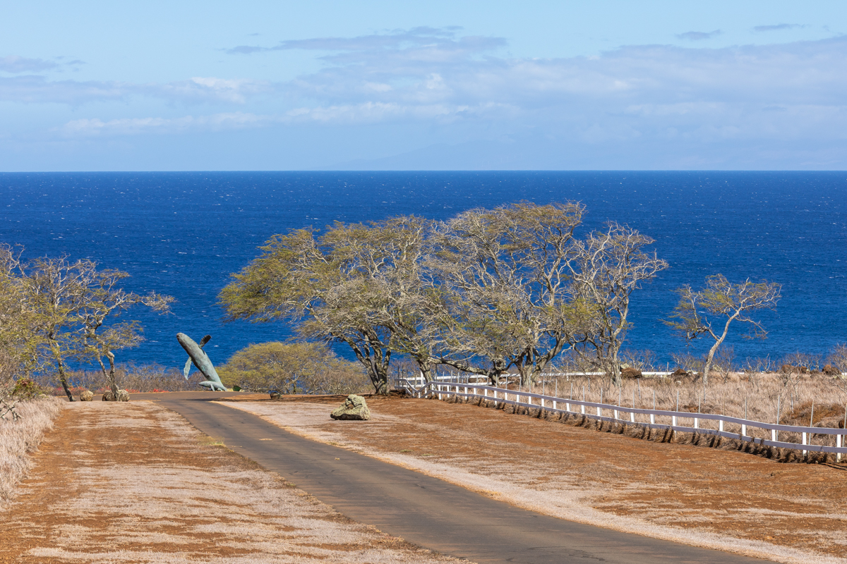 Hawi, Hawaii, 96719, United States, ,Land,For Sale,1997291
