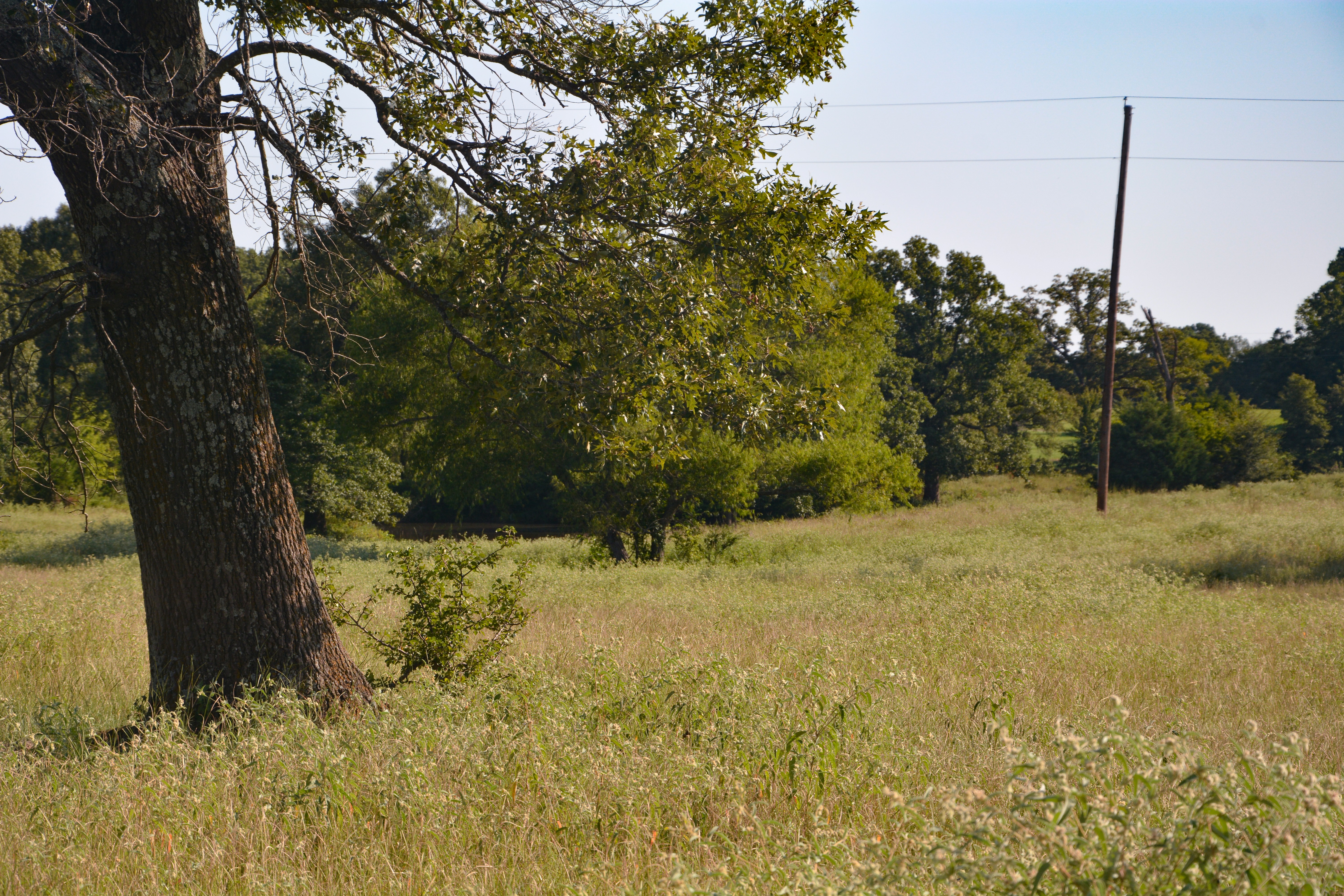Grand Saline, Texas, 75140, United States, ,Residential,For Sale,1936963