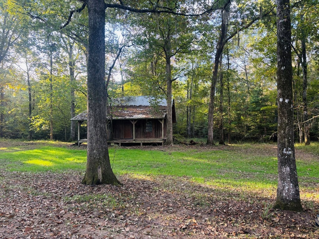 Abbeville, Georgia, 31001, United States, ,Land,For Sale,1975130