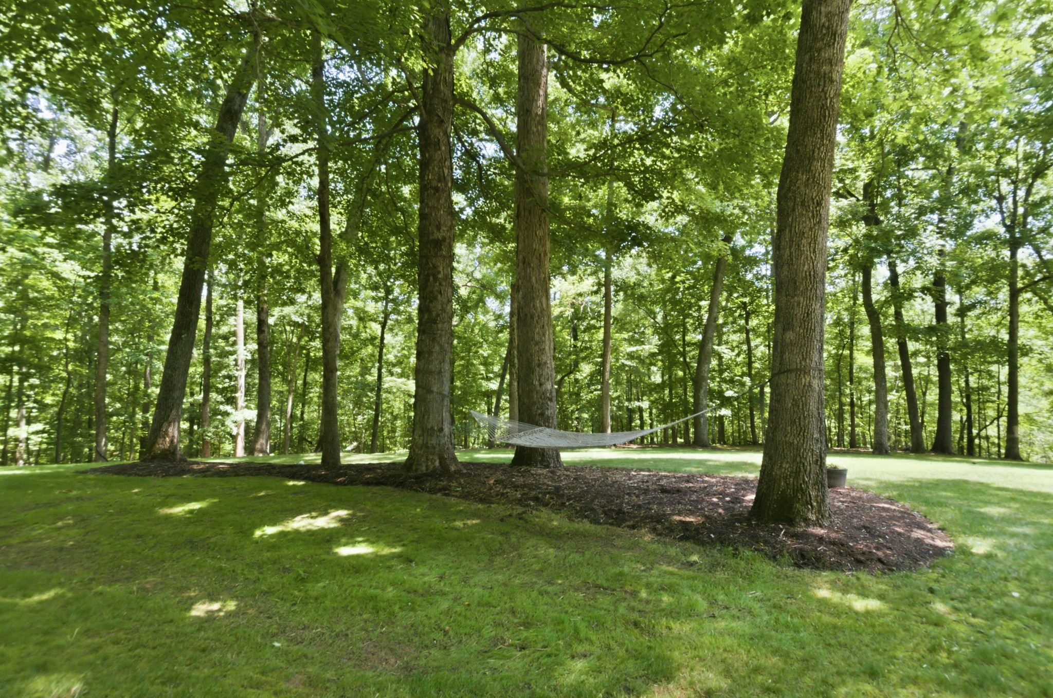  1637 Wildlife Trl, Kingston Springs, TN, 37082 - 物件實景