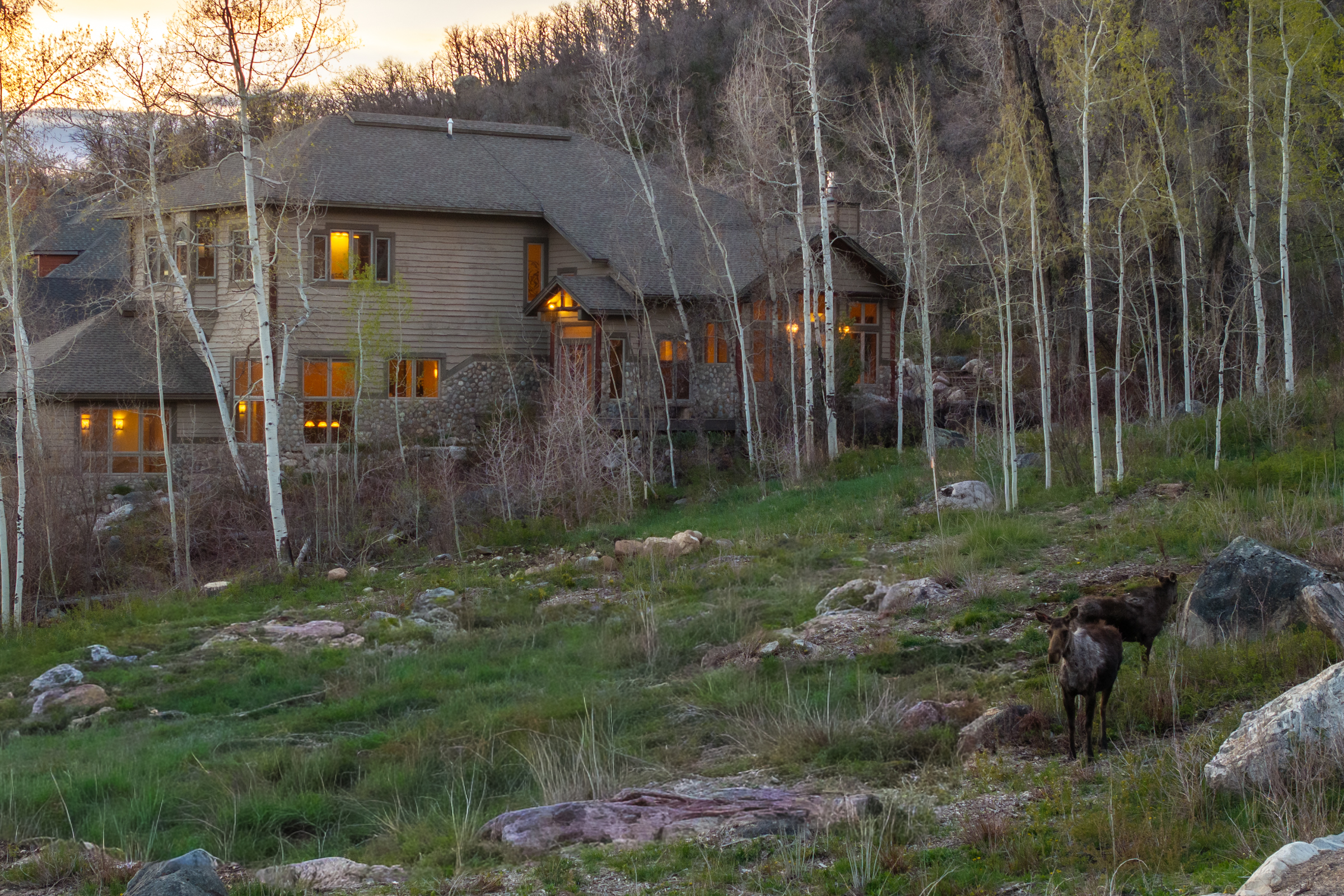  560 Steamboat Boulevard, Steamboat Springs, CO, 80487 - 物件實景