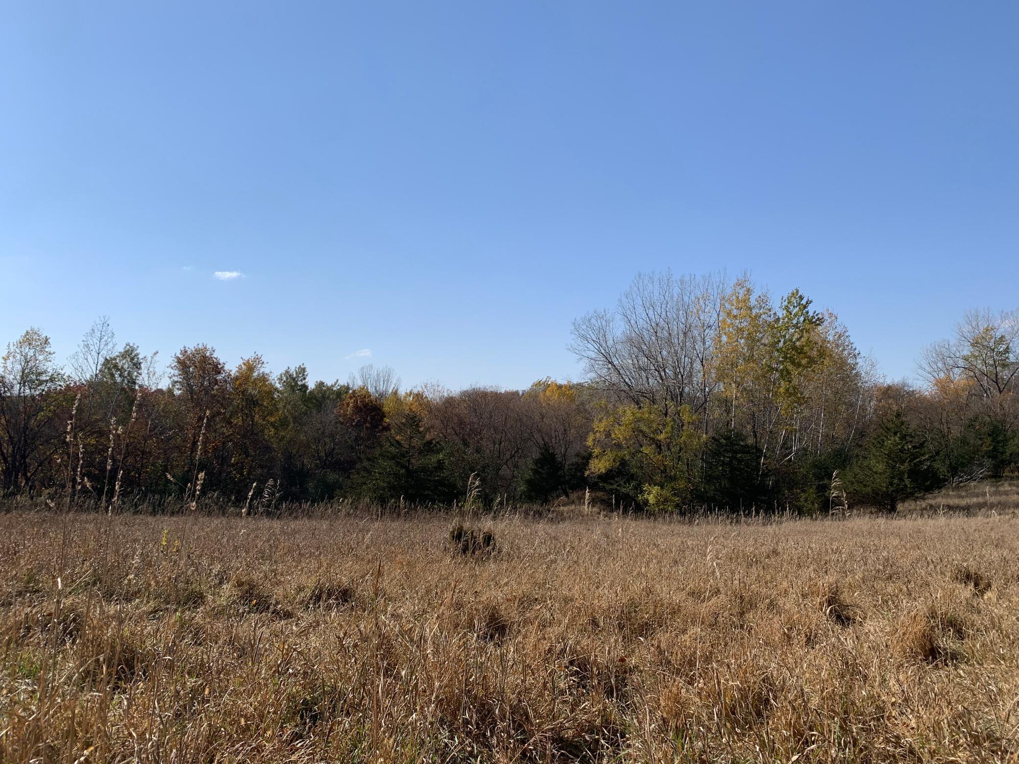 Tbd 75th Street NW, Oronoco Twp, Minnesota, 55901, United States, ,Land,For Sale,Tbd 75th Street NW,1626085