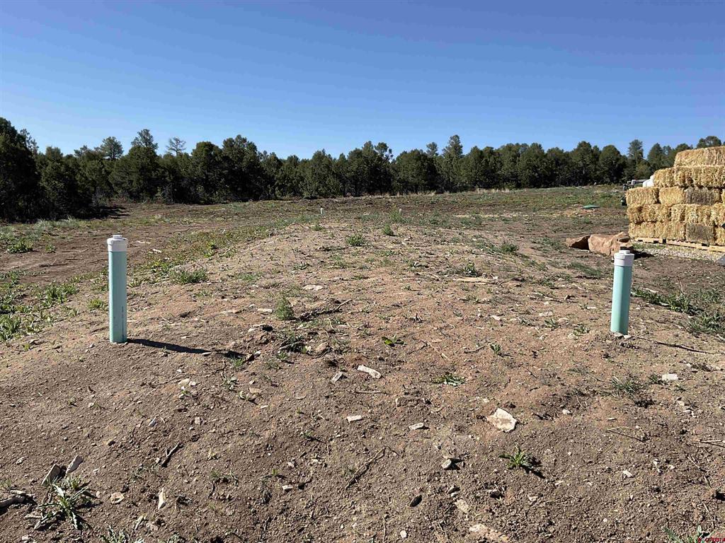 Montrose, Colorado, 81403, United States, ,Land,For Sale,1919926