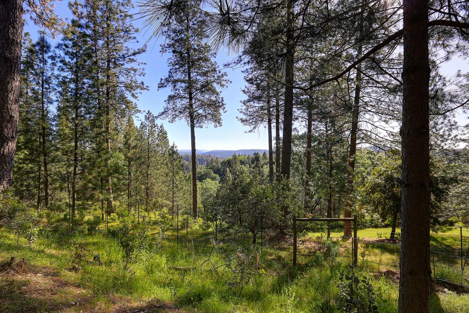 Grass Valley, California, 95949, United States, 3 Bedrooms Bedrooms, ,3 BathroomsBathrooms,Residential,For Sale,1842602