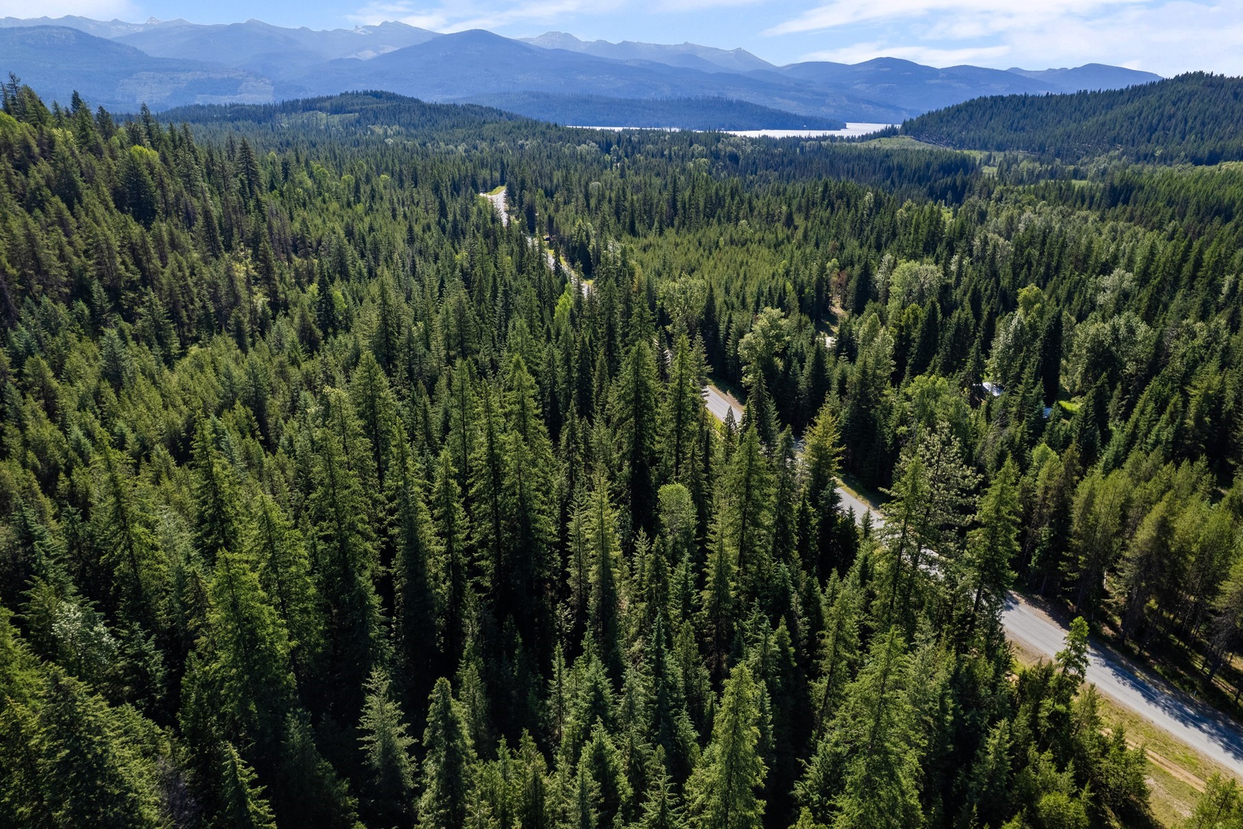  12 Forested Acres Priest Lake Idaho - 物件實景