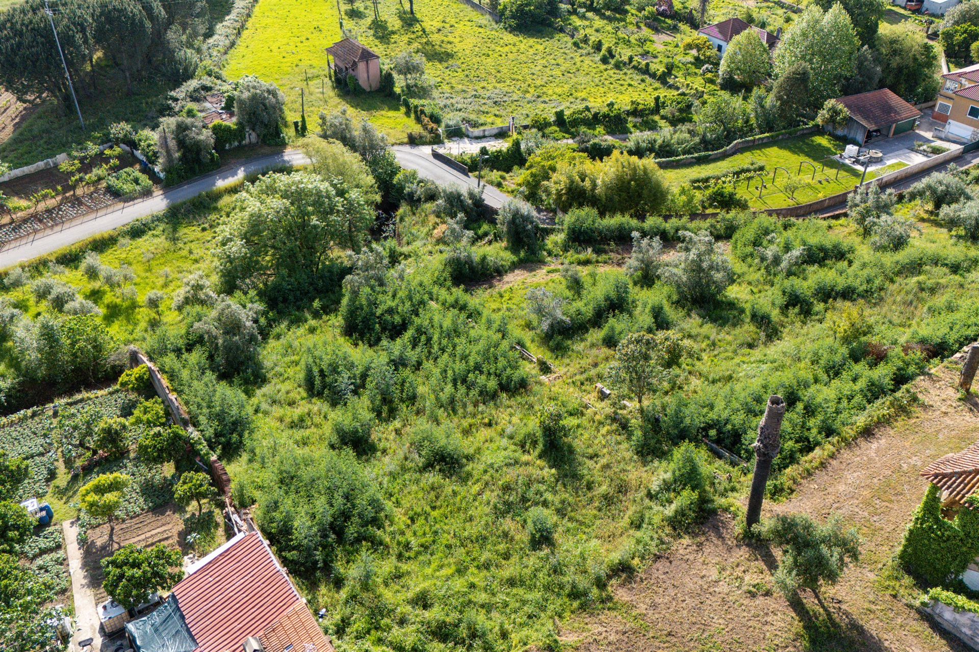  Terreno com ruina for Sale - 物件實景