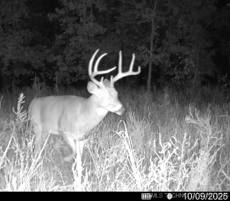 Haskell, Oklahoma, 74436, United States, ,Residential,For Sale,1989173