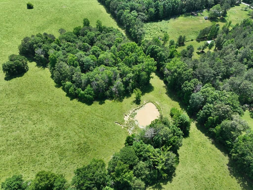 CHATSWORTH, Georgia, 30705, United States, ,Residential,For Sale,1828232