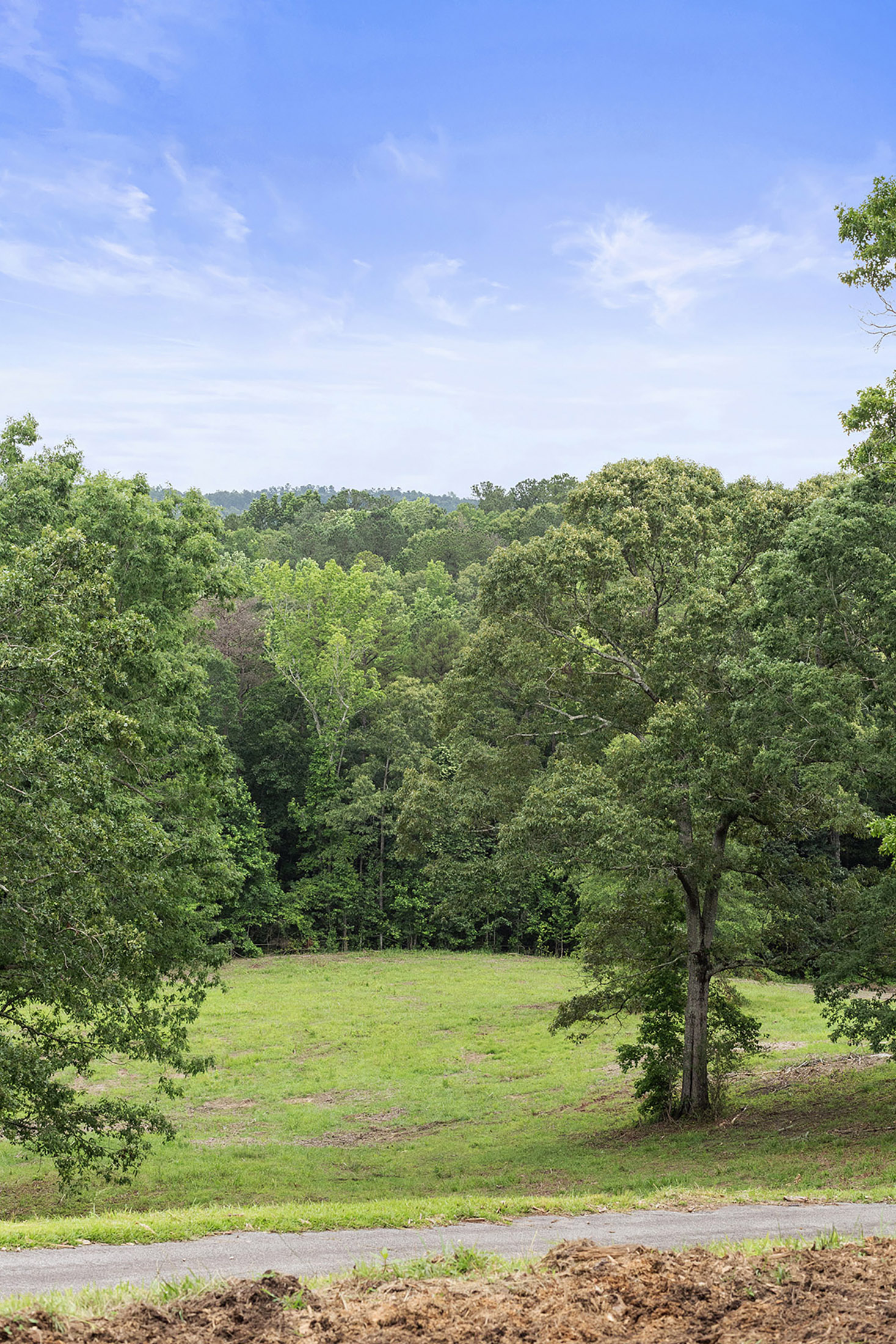  A Perfect Blend of Privacy and Natural Beauty in Newnan - 物件實景