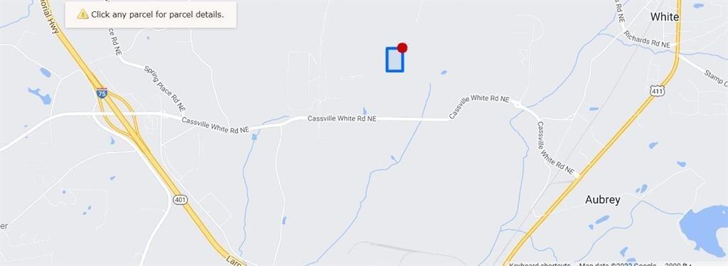 White, Georgia, 30184, United States, ,Land,For Sale,1695276