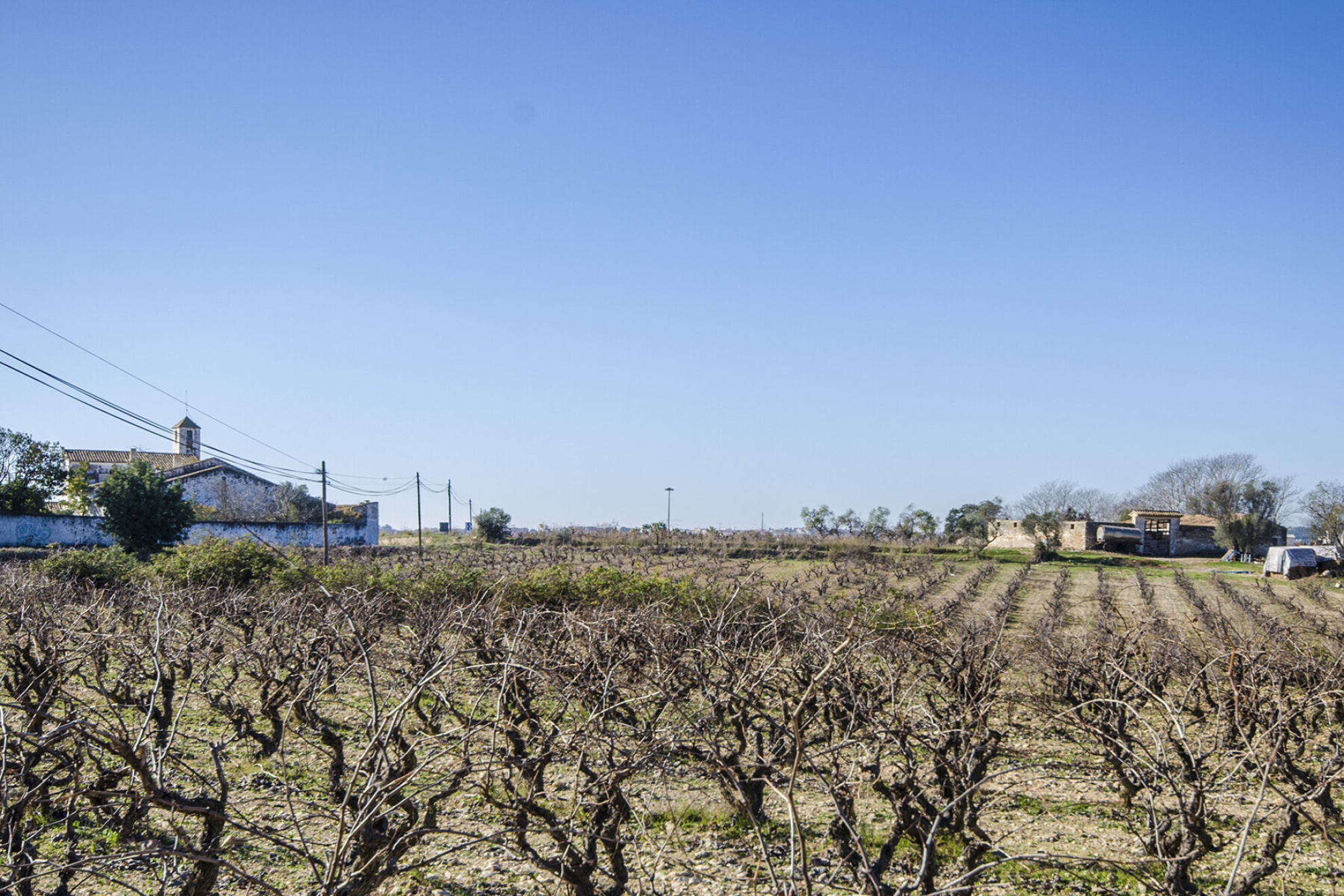  Masia with Vineyards and 3.13 Hectares in Vilanova i la Geltrú - 物件實景