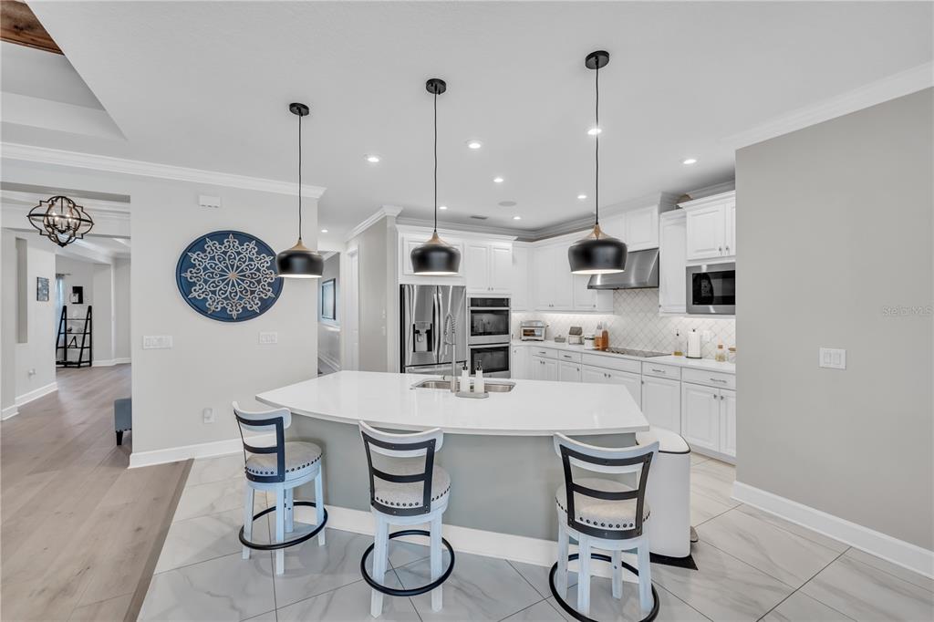 Wesley Chapel, Florida, 33545, United States, 4 Bedrooms Bedrooms, ,4 BathroomsBathrooms,Residential,For Sale,1892206