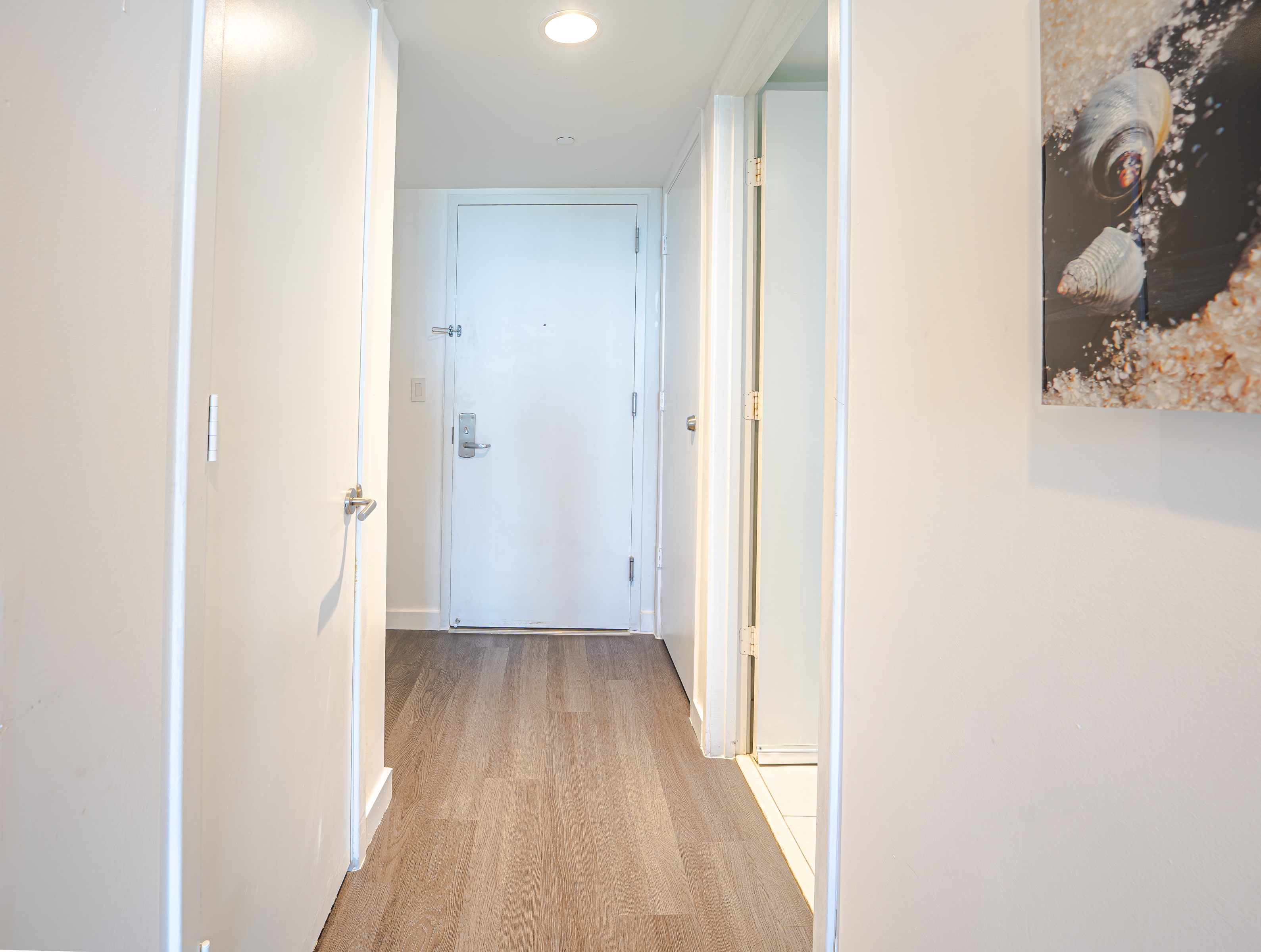  2602 E Hallandale Beach Blvd, Hallandale Beach, FL, 33009 - 物件實景