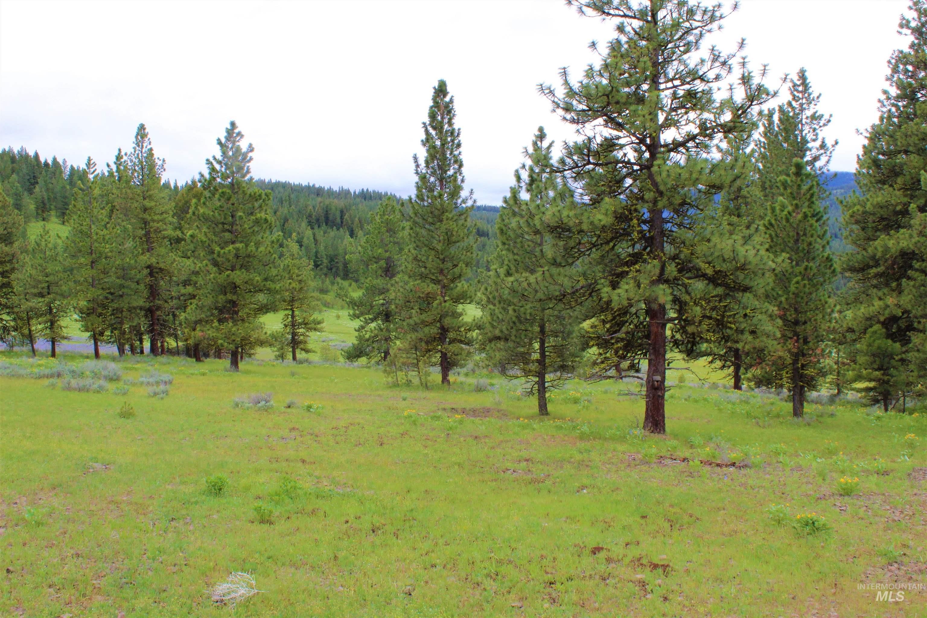 New Meadows, Idaho, 83654, United States, 1 Bedroom Bedrooms, ,1 BathroomBathrooms,Residential,For Sale,1979546