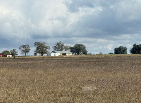 Runge, Texas, 78151, United States, 3 Bedrooms Bedrooms, ,2 BathroomsBathrooms,Residential,For Sale,1996621