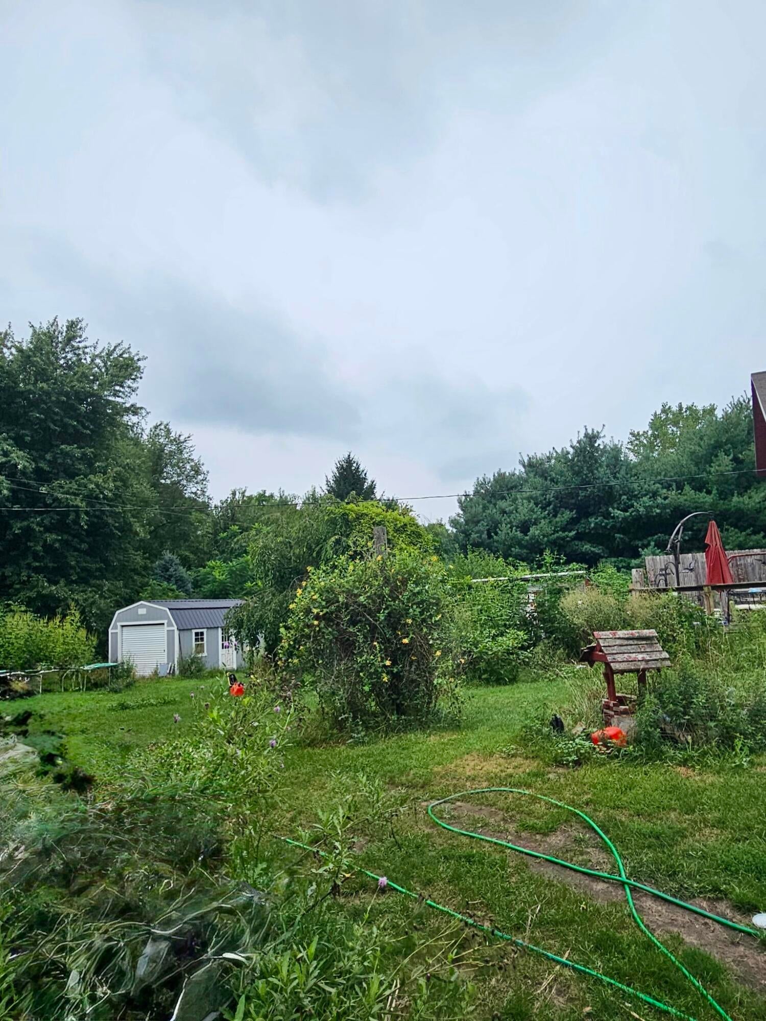 Edon Rd, Allen, MI 49227 #1
