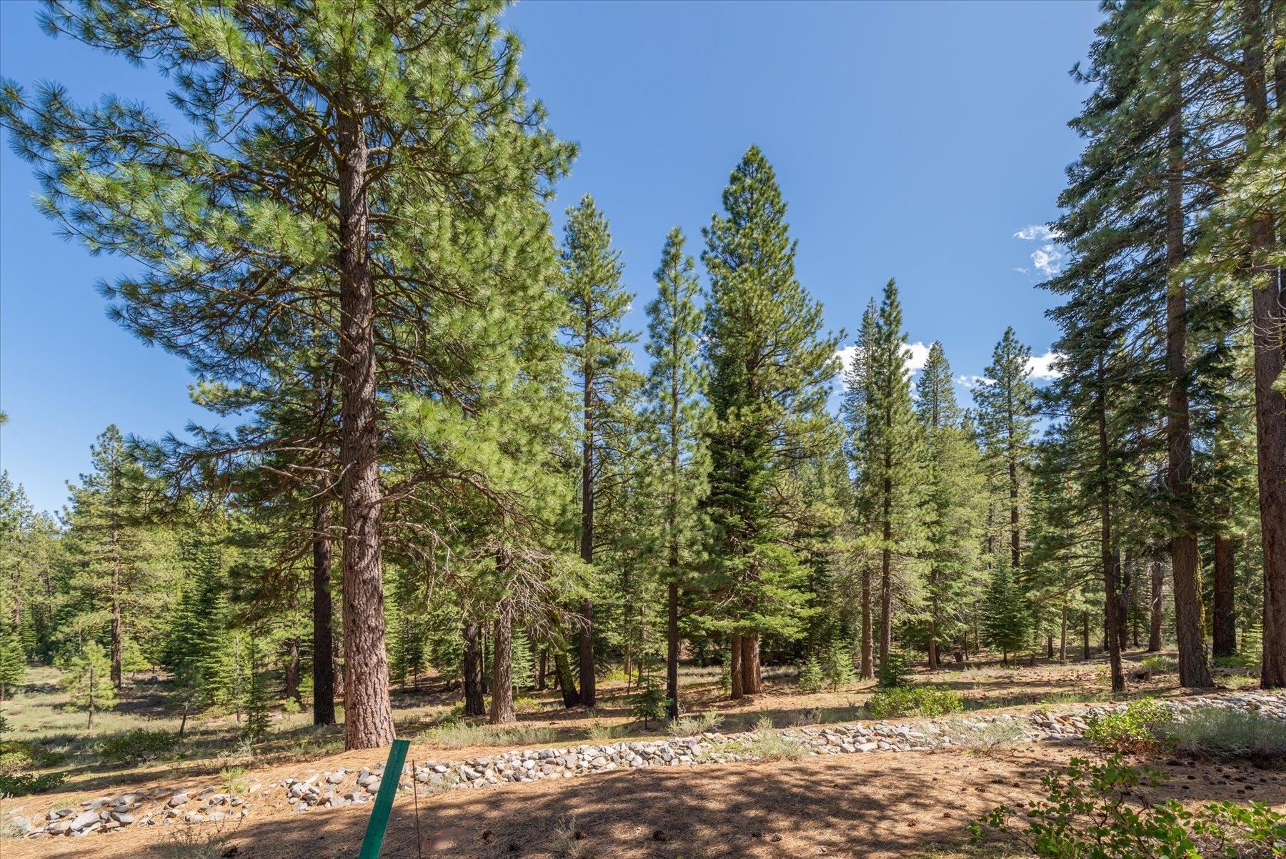 Truckee, California, 96161, United States, ,Land,For Sale,1828145