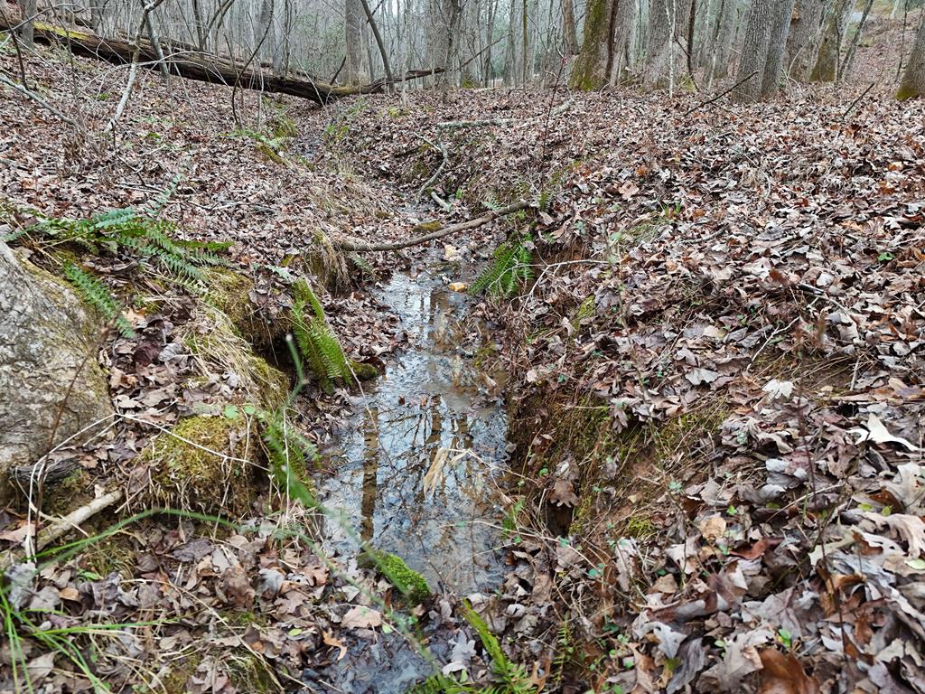 Blue Ridge, Georgia, 30513, United States, ,Land,For Sale,1859049