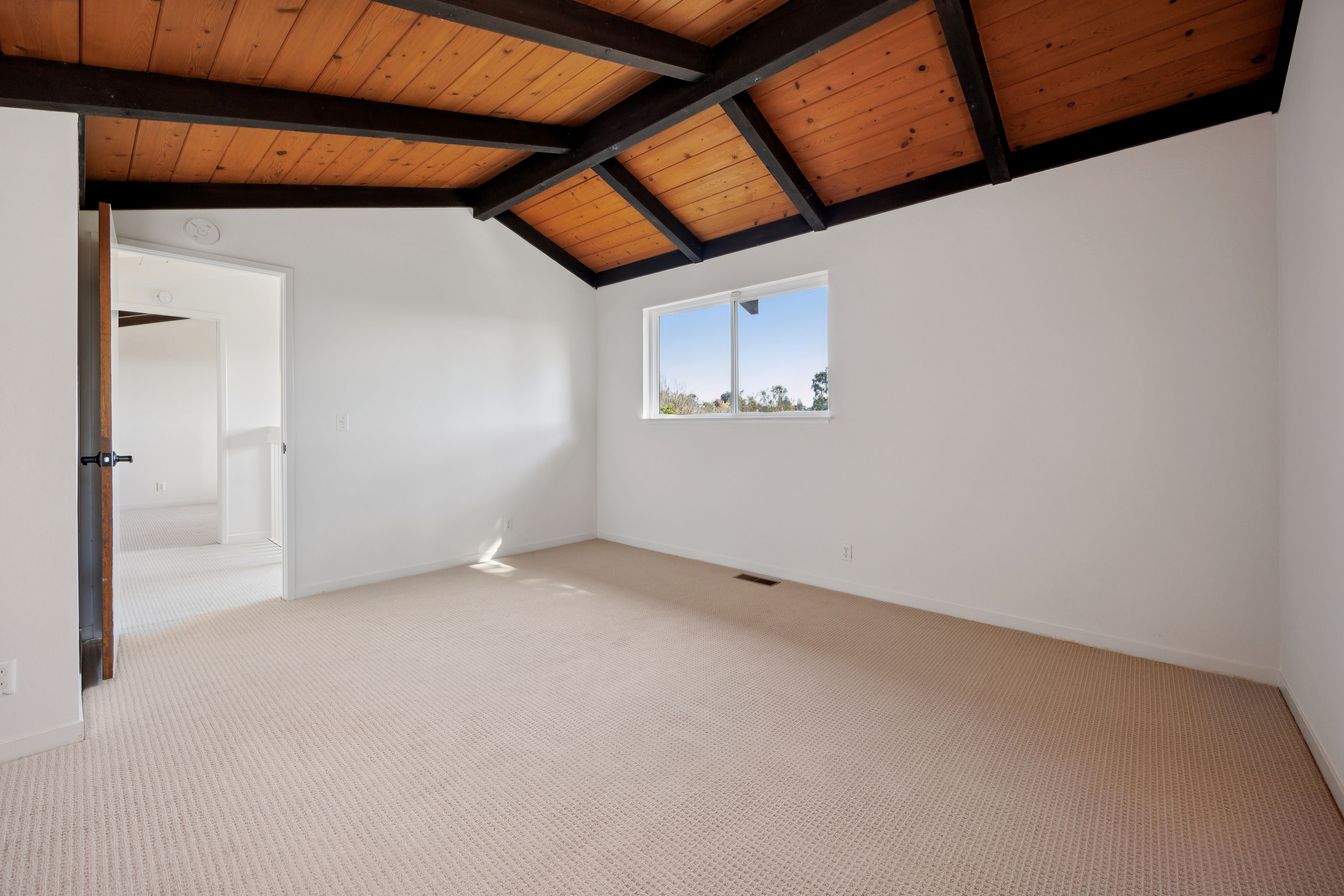  The Tiburon Home You Have Been Looking For - 物件實景