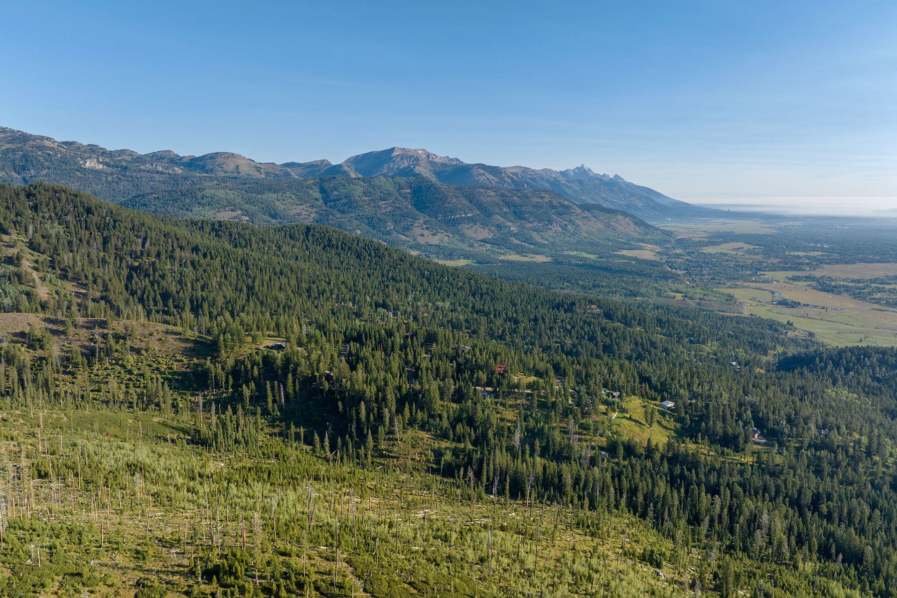  Wilson Acreage Bordering Bridger-Teton National Forest - 物件實景