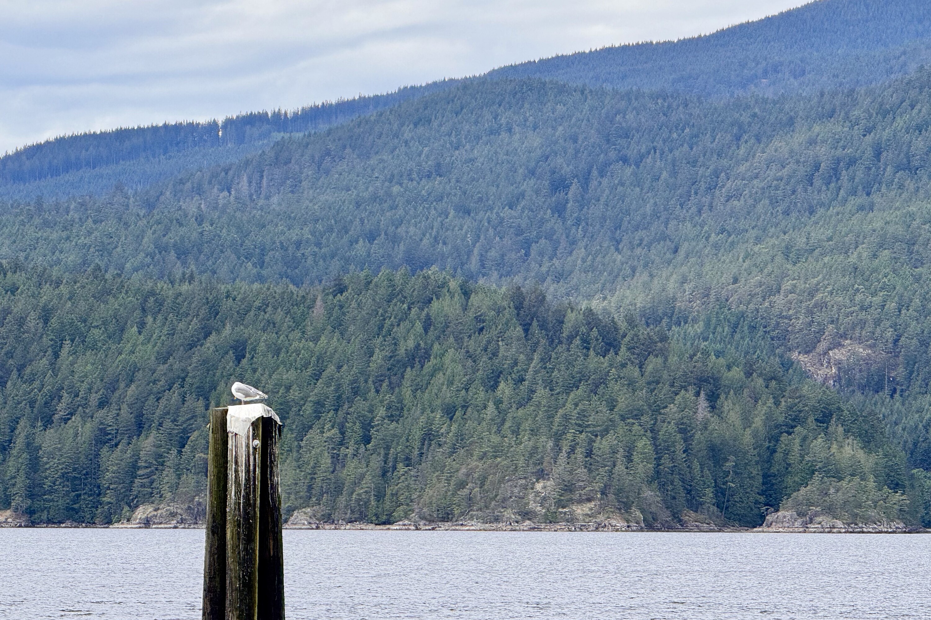  Sechelt, Sunshine Coast - 物件實景