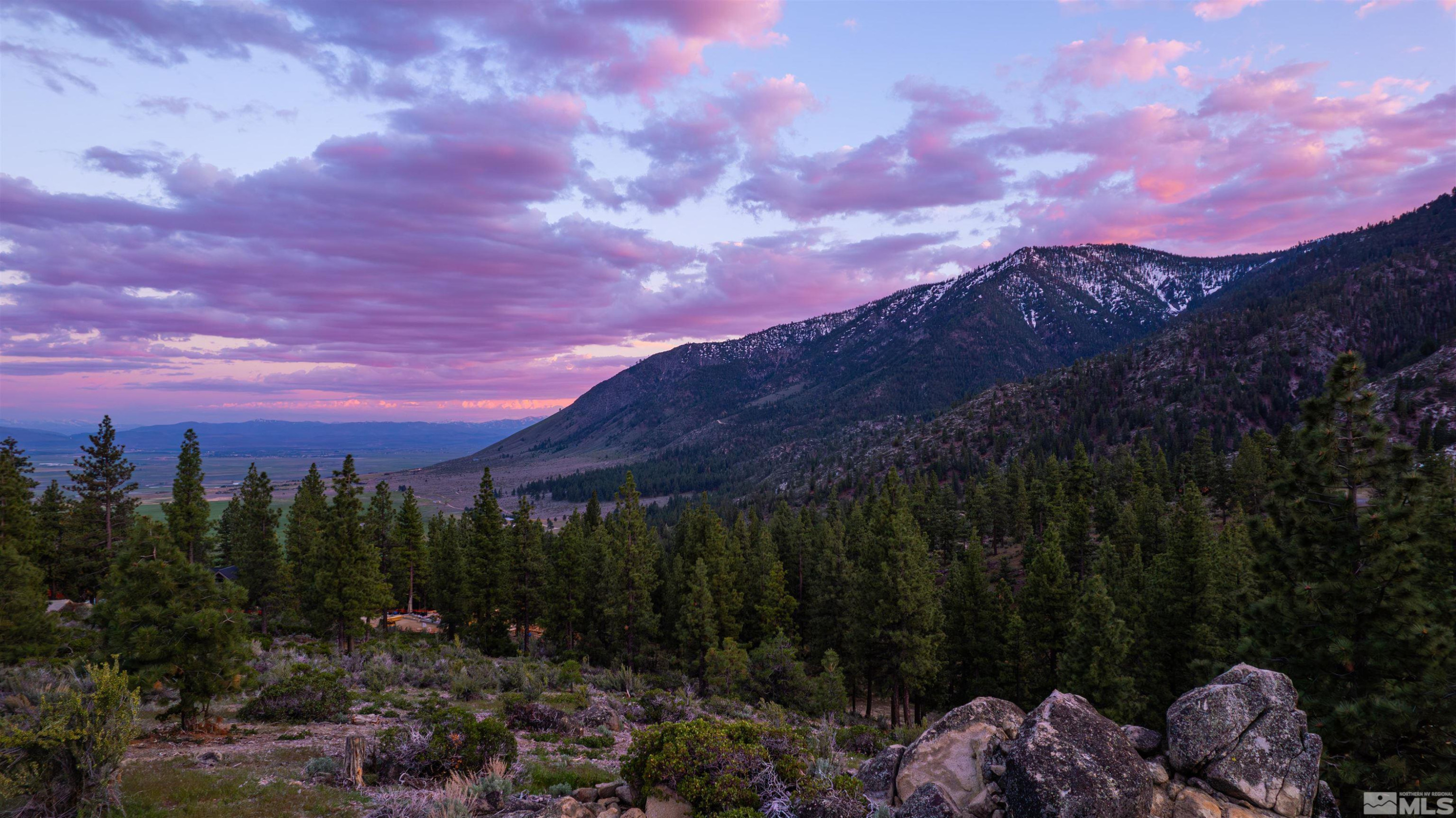 Carson City, Nevada, 89705, United States, ,Land,For Sale,1828130
