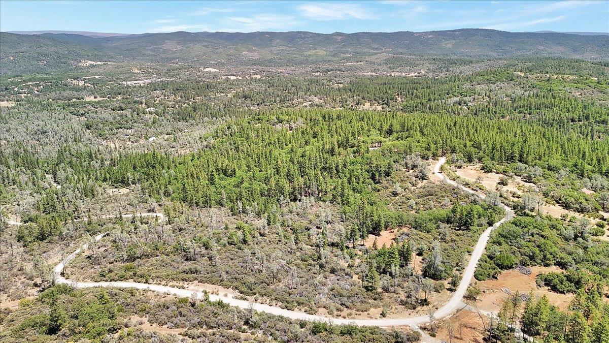 Oregon House, California, 95962, United States, ,Land,For Sale,1975767