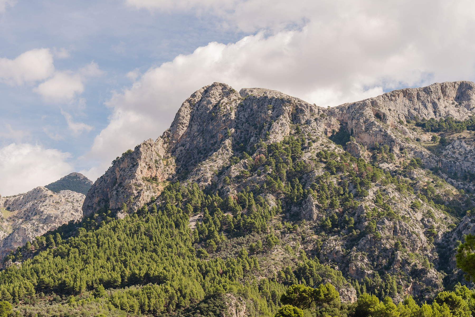  Townhouse in Sóller overlooking the Sierra de Tramuntana - 物件實景