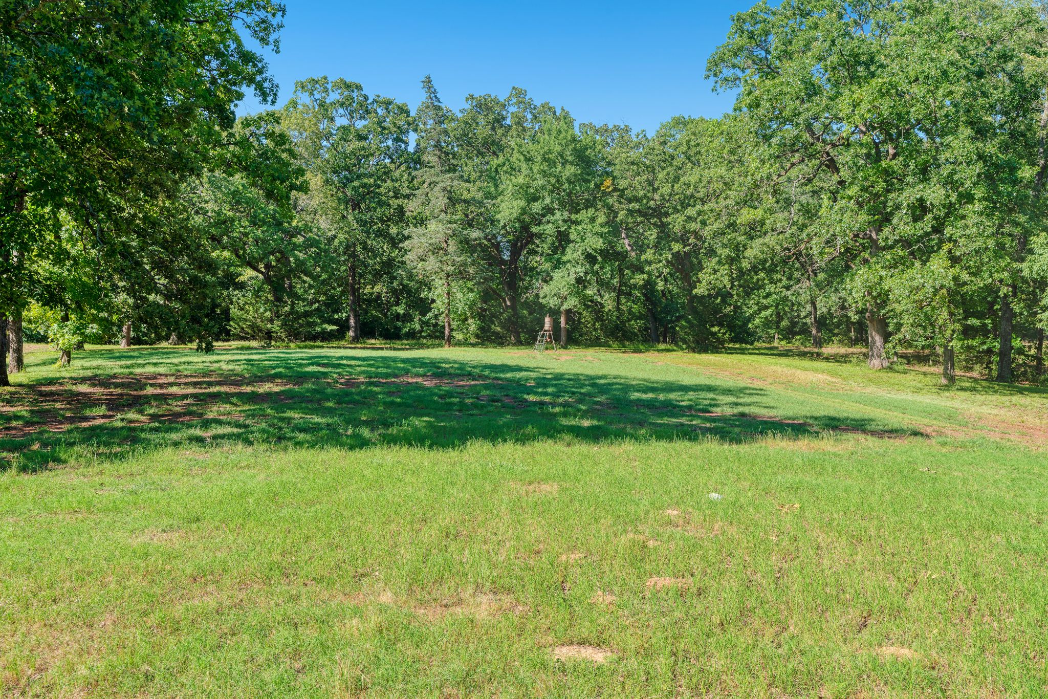 Powderly, Texas, 75473, United States, 3 Bedrooms Bedrooms, ,2 BathroomsBathrooms,Land,For Sale,1917710