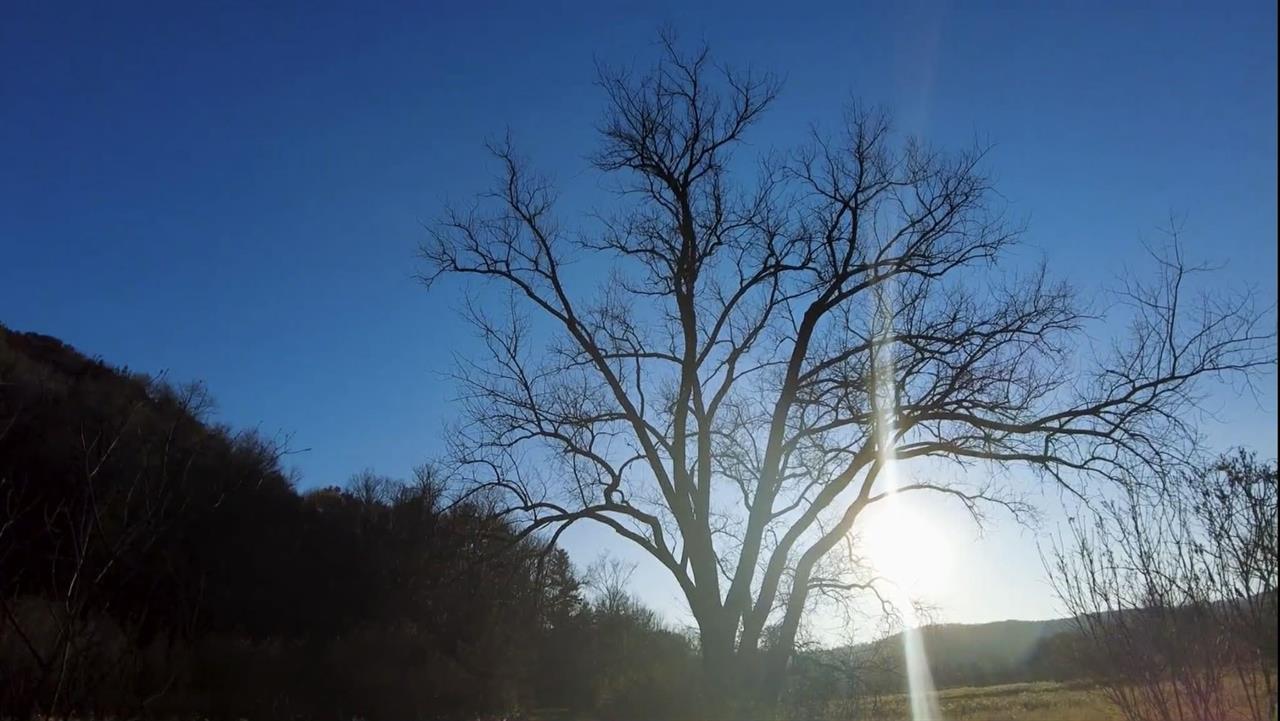 Blue River, Wisconsin, 53518, United States, 3 Bedrooms Bedrooms, ,3 BathroomsBathrooms,Residential,For Sale,2009301