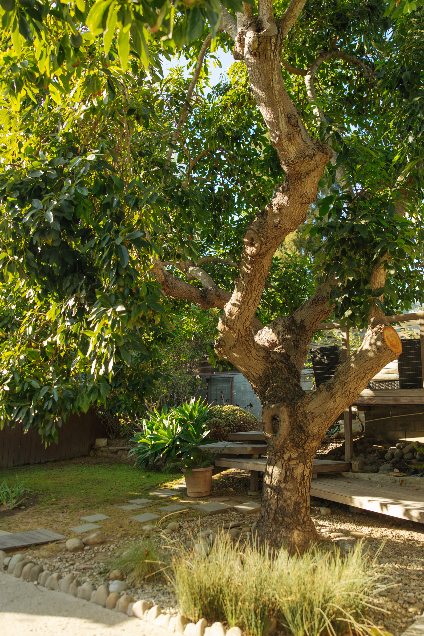  79 North Laurel Street, Ventura, CA 93001 - 物件實景