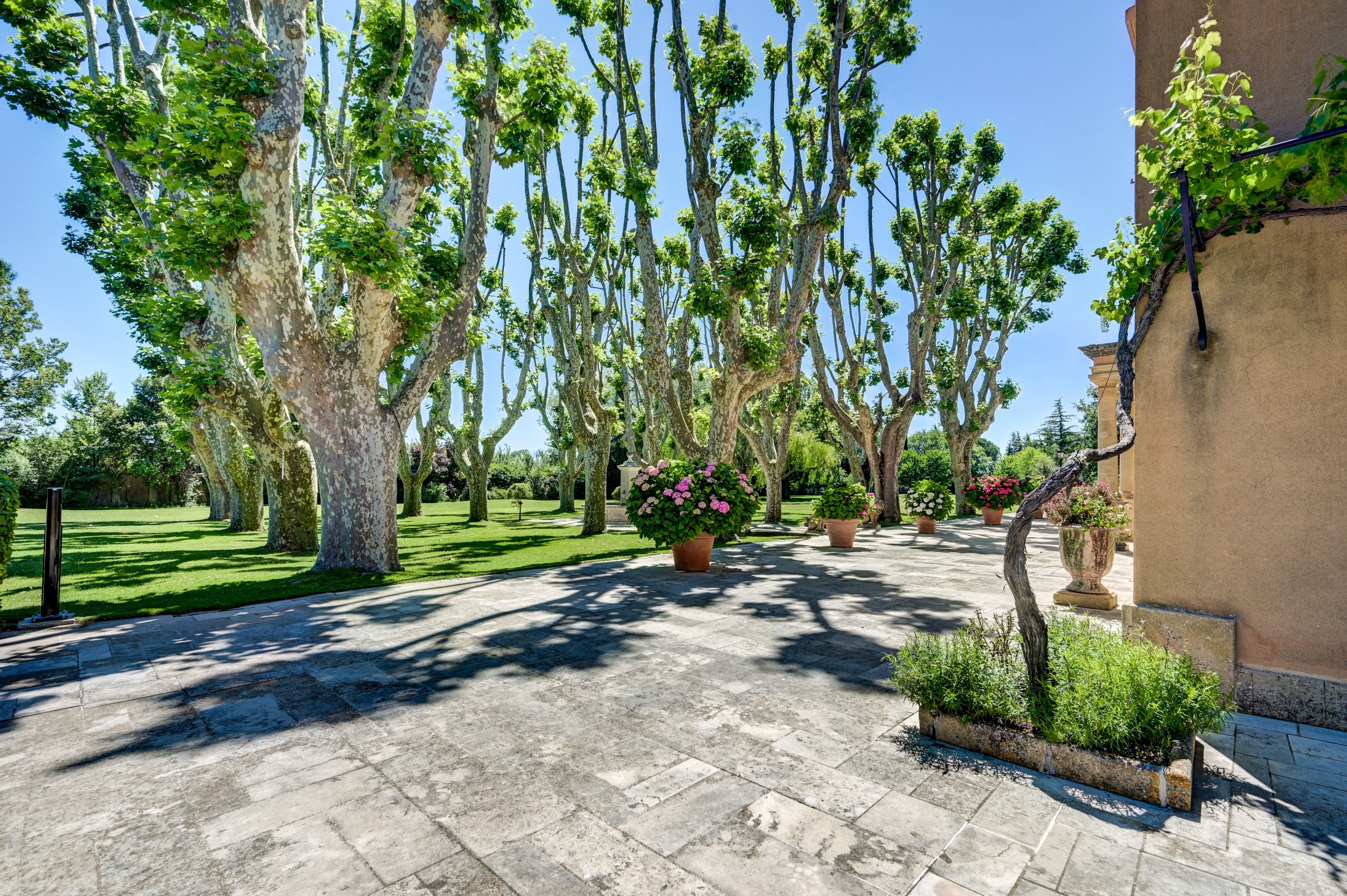  Exceptional estate of 1300 m² for sale in Aix-en-Provence. - 物件實景
