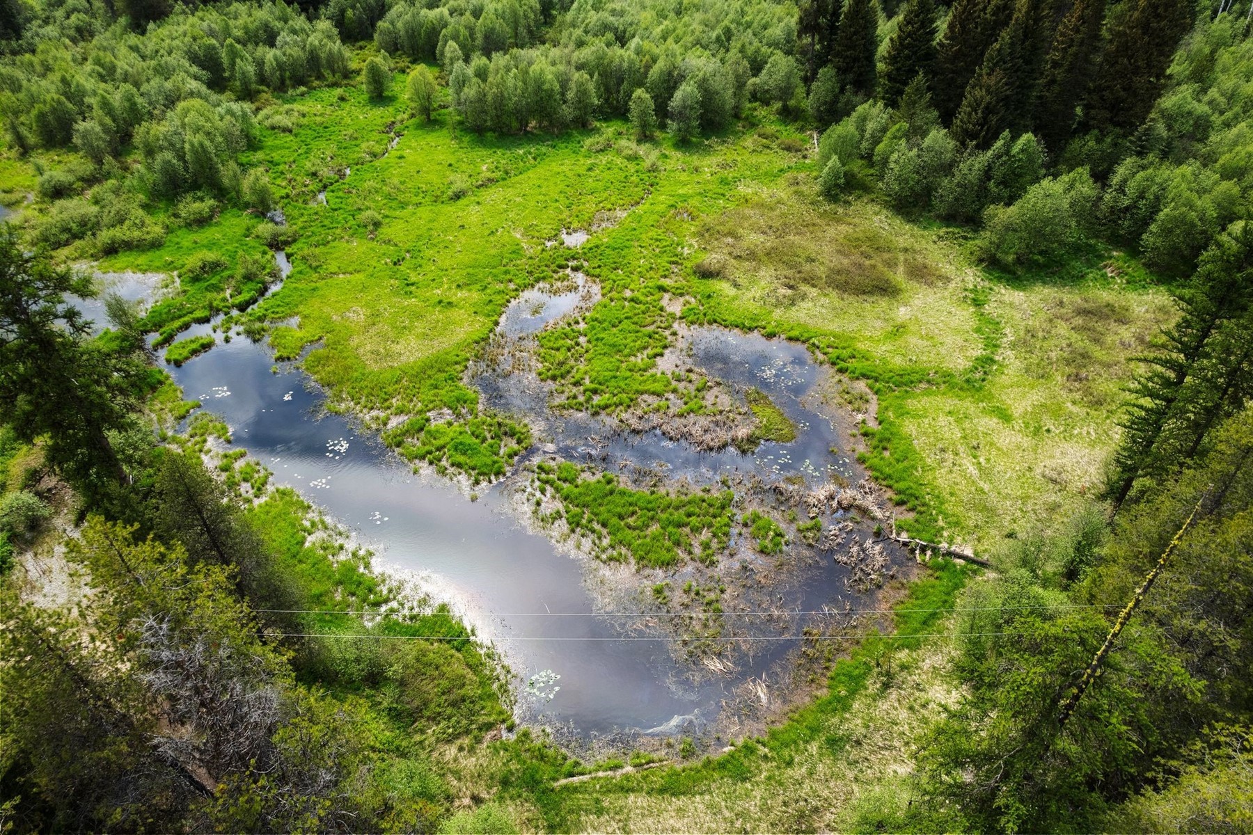  North Idaho Escape - 物件實景