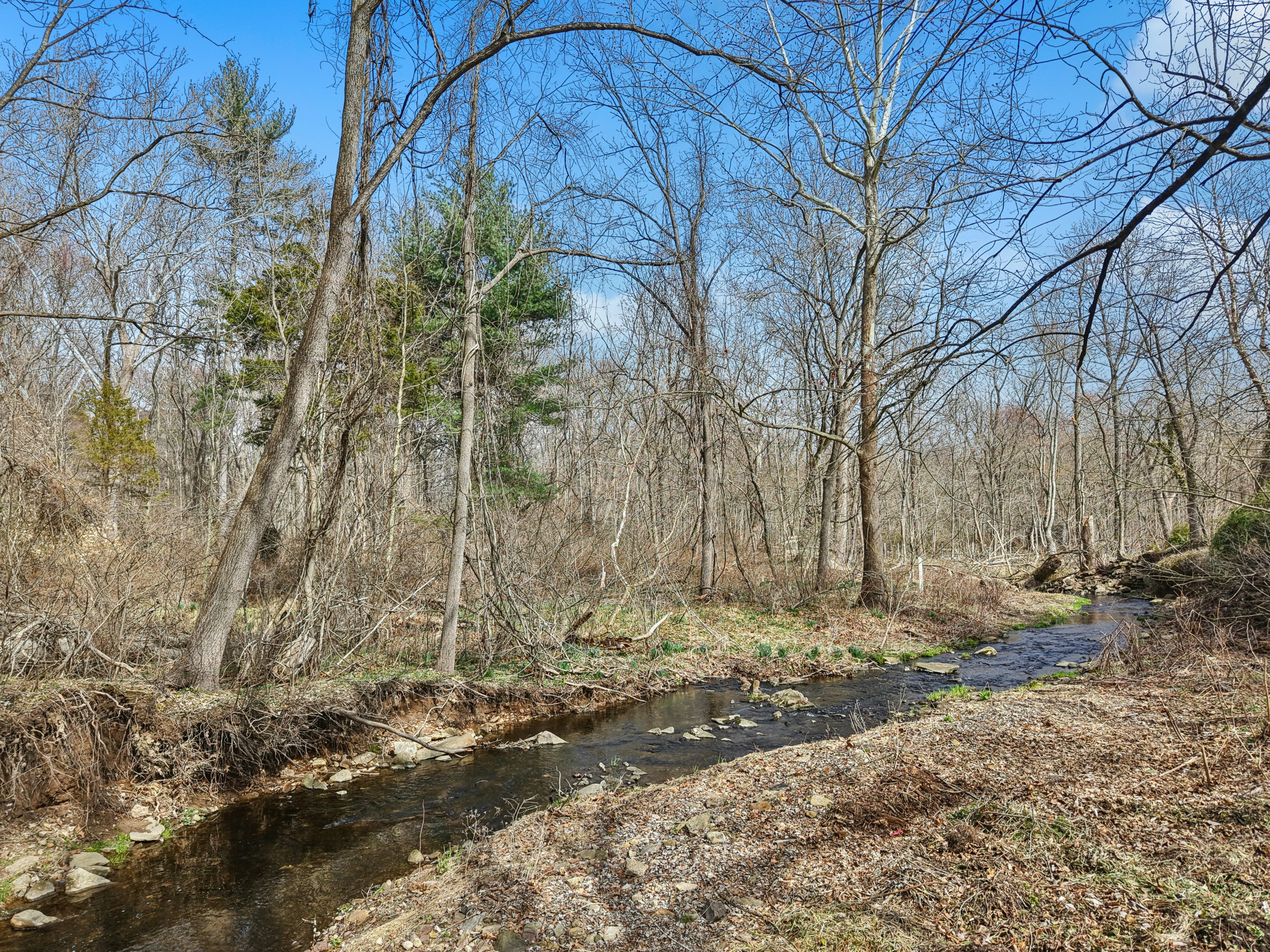  2885 Mill Road, Doylestown, PA 18902 - 物件實景