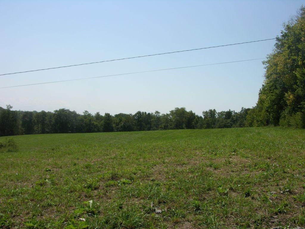 1400 Curtis Pike, Richmond, Kentucky, 40475, United States, ,Land,For Sale,1400 Curtis Pike,1616978
