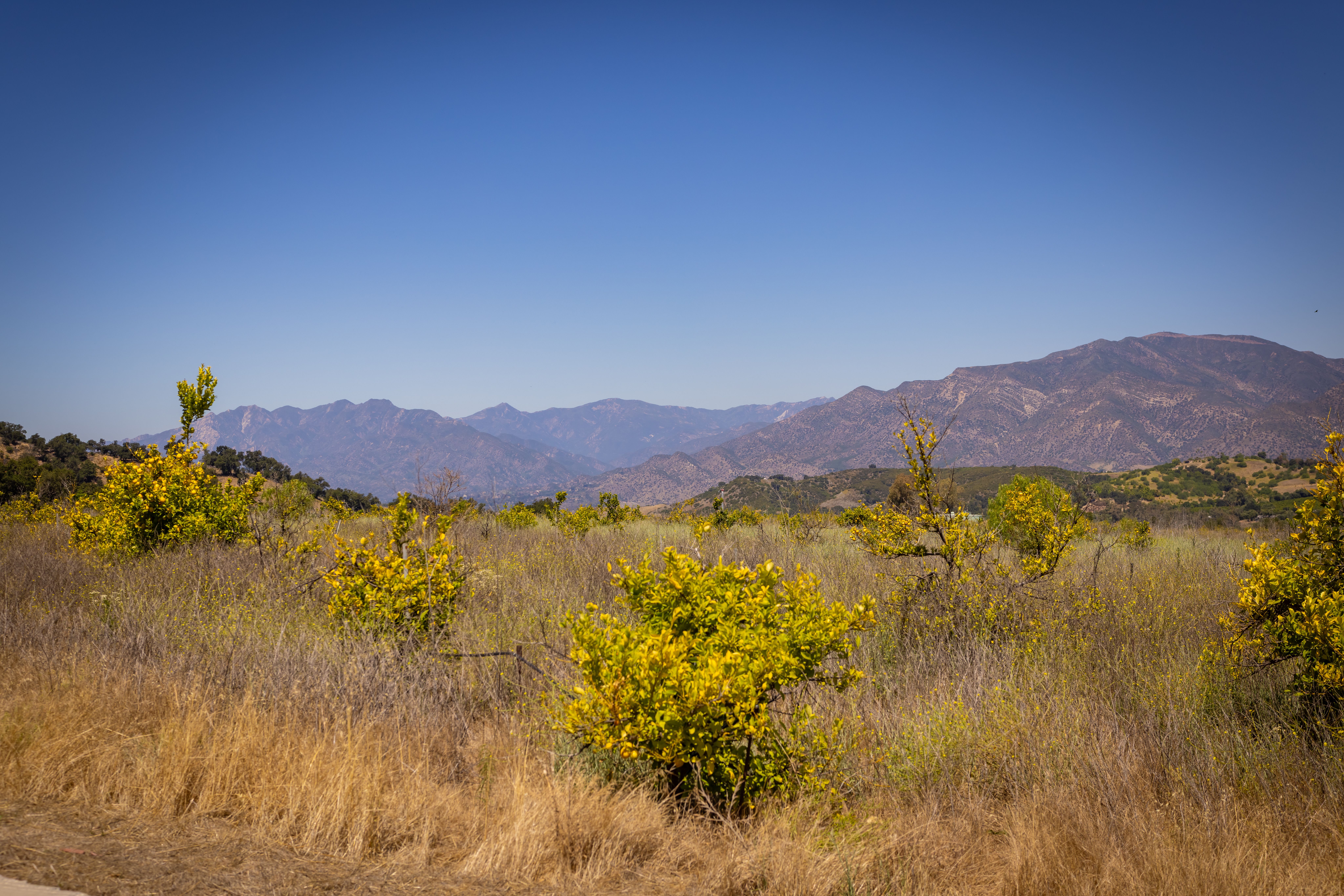  12400 Ojai Santa Paula Road, Ojai, CA 93023 - 物件實景