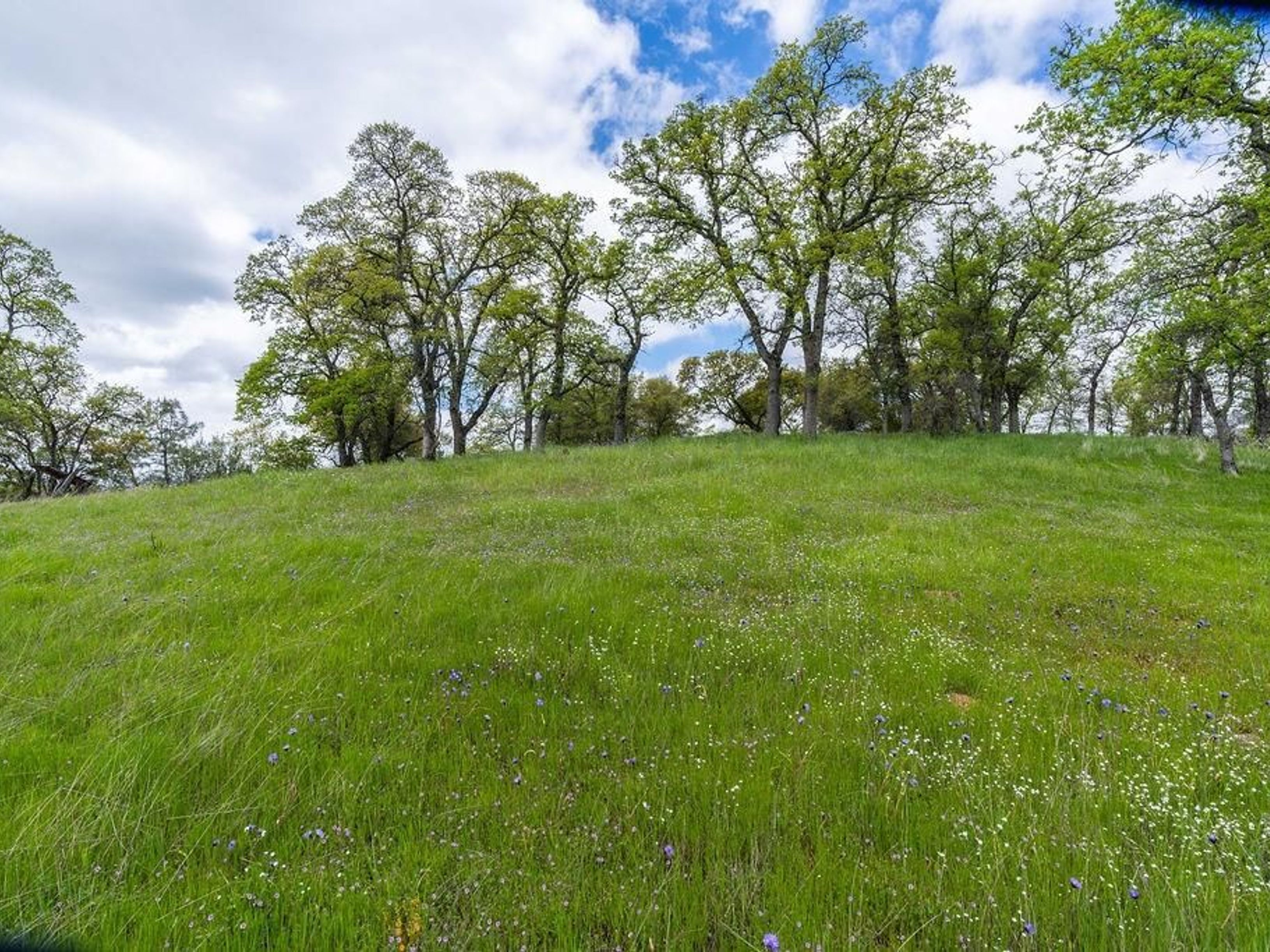 10865 Sunset Drive, Sutter Creek, CA 95685 - 物件實景
