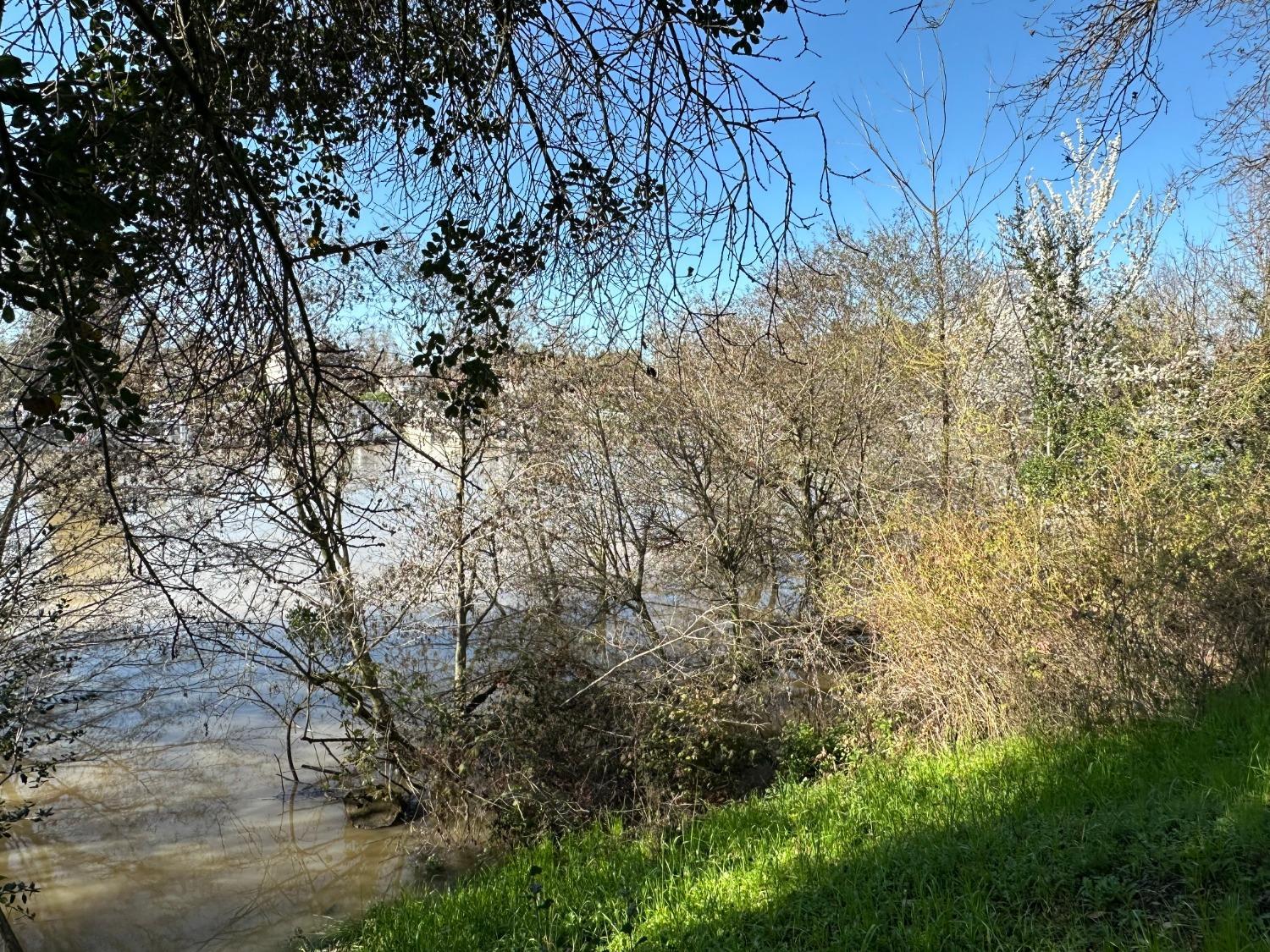 Walnut Grove, California, 95690, United States, 6 Bedrooms Bedrooms, ,4 BathroomsBathrooms,Residential,For Sale,2008796