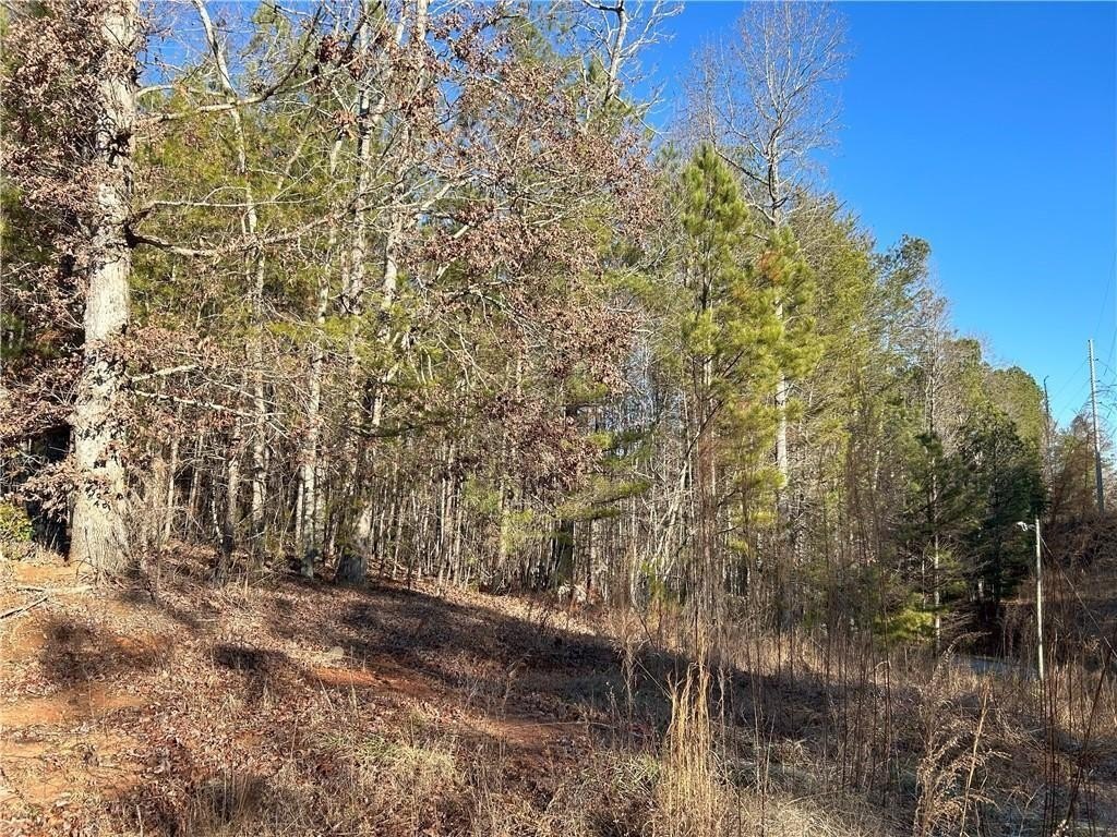 Dawsonville, Georgia, 30148, United States, ,Land,For Sale,1978894