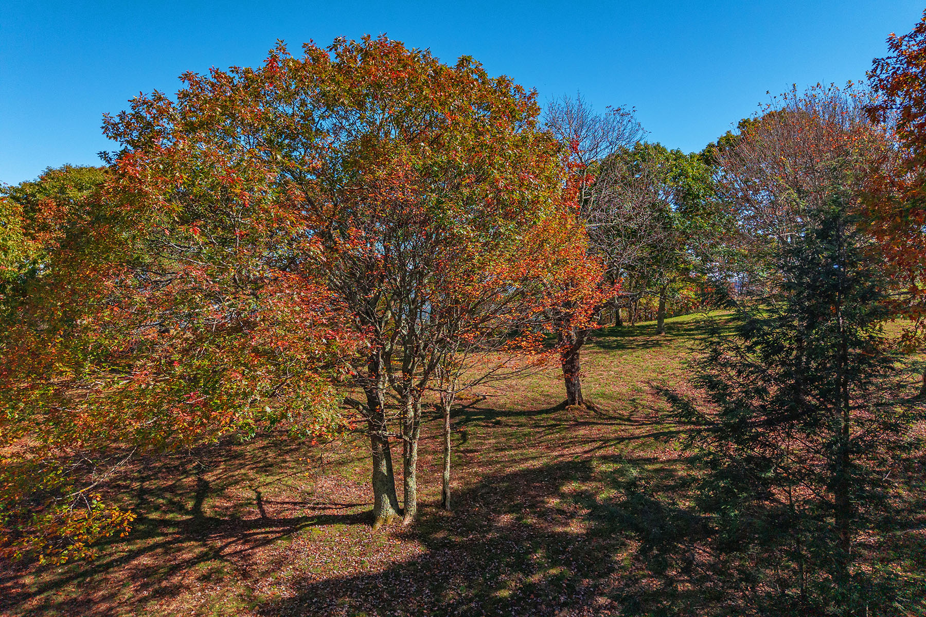  BANNER ELK - ROCKY KNOB - 物件實景