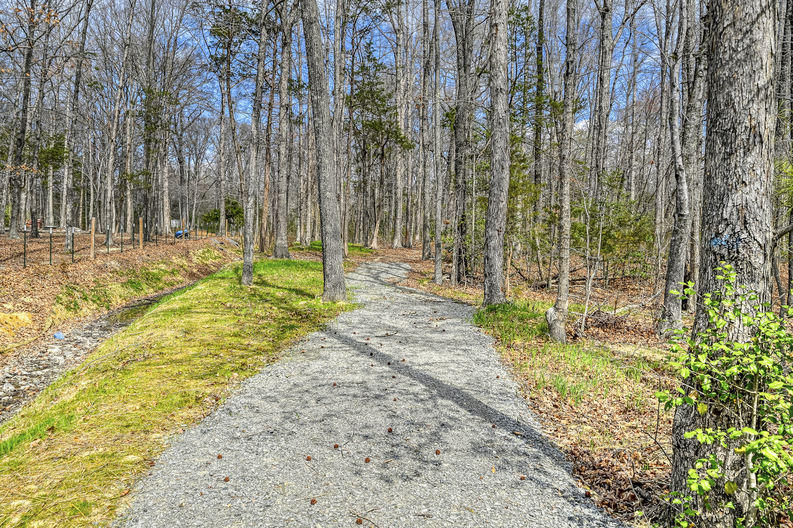  295 Equestrian Landing Trail, Bumpass, VA 23024 - 物件實景