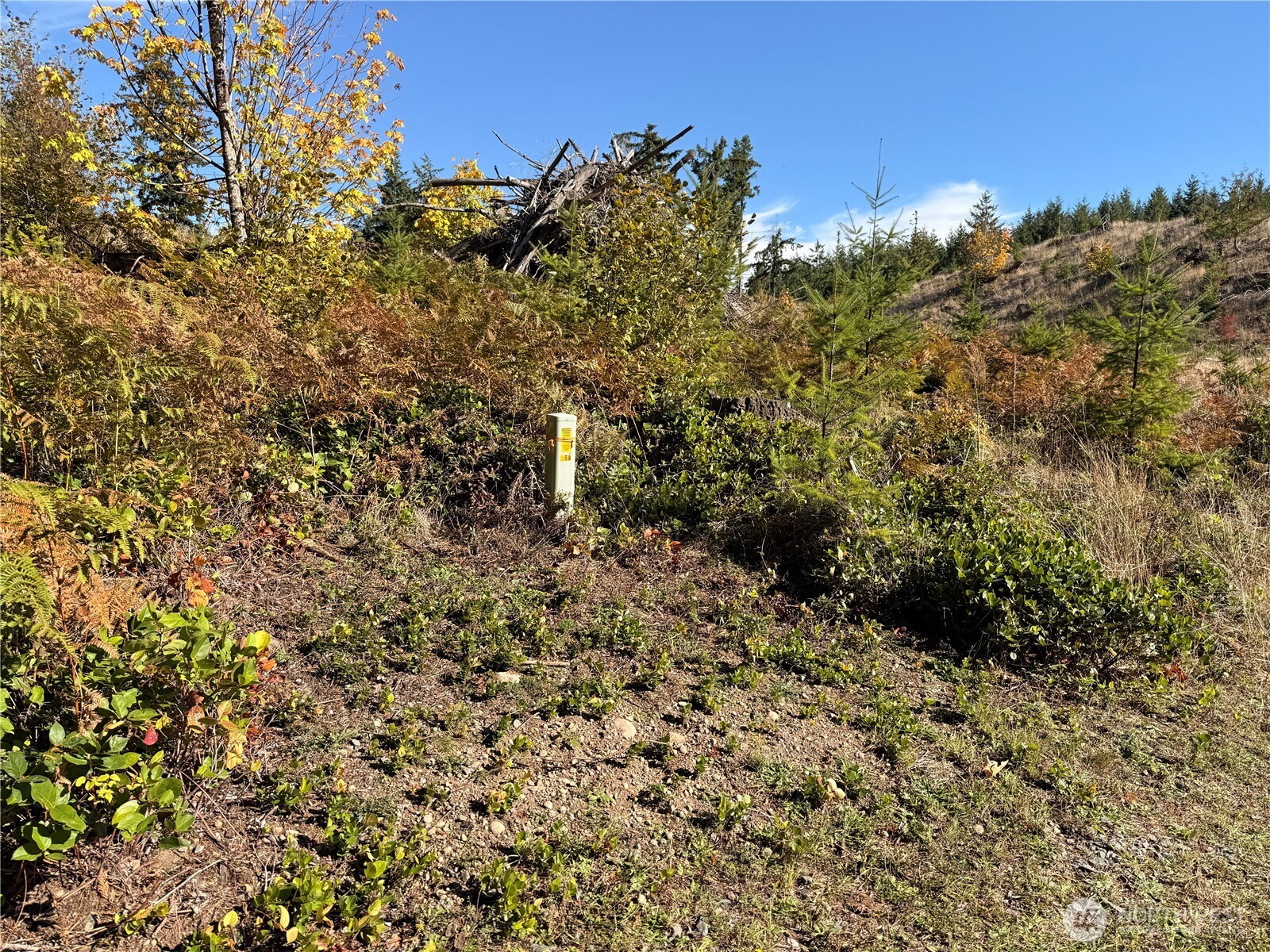 Rainier, Washington, 98576, United States, ,Land,For Sale,1998419