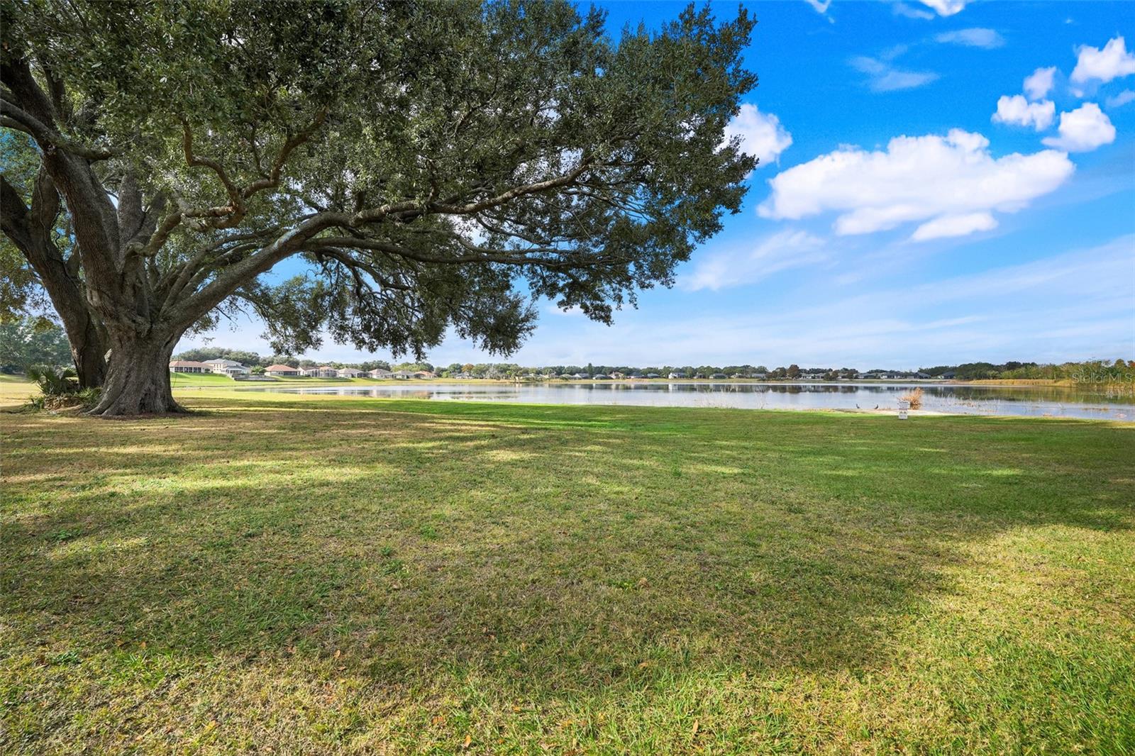 CLERMONT, Florida, 34711, United States, 4 Bedrooms Bedrooms, ,4 BathroomsBathrooms,Residential,For Sale,2003496