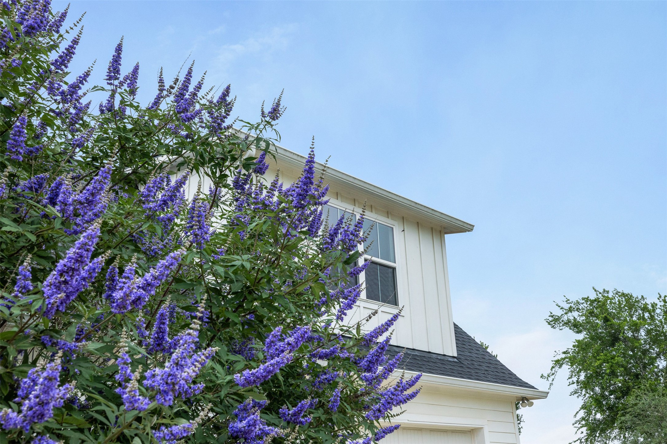  9075 Loop Road, Bellville, TX, 77418 - 物件實景