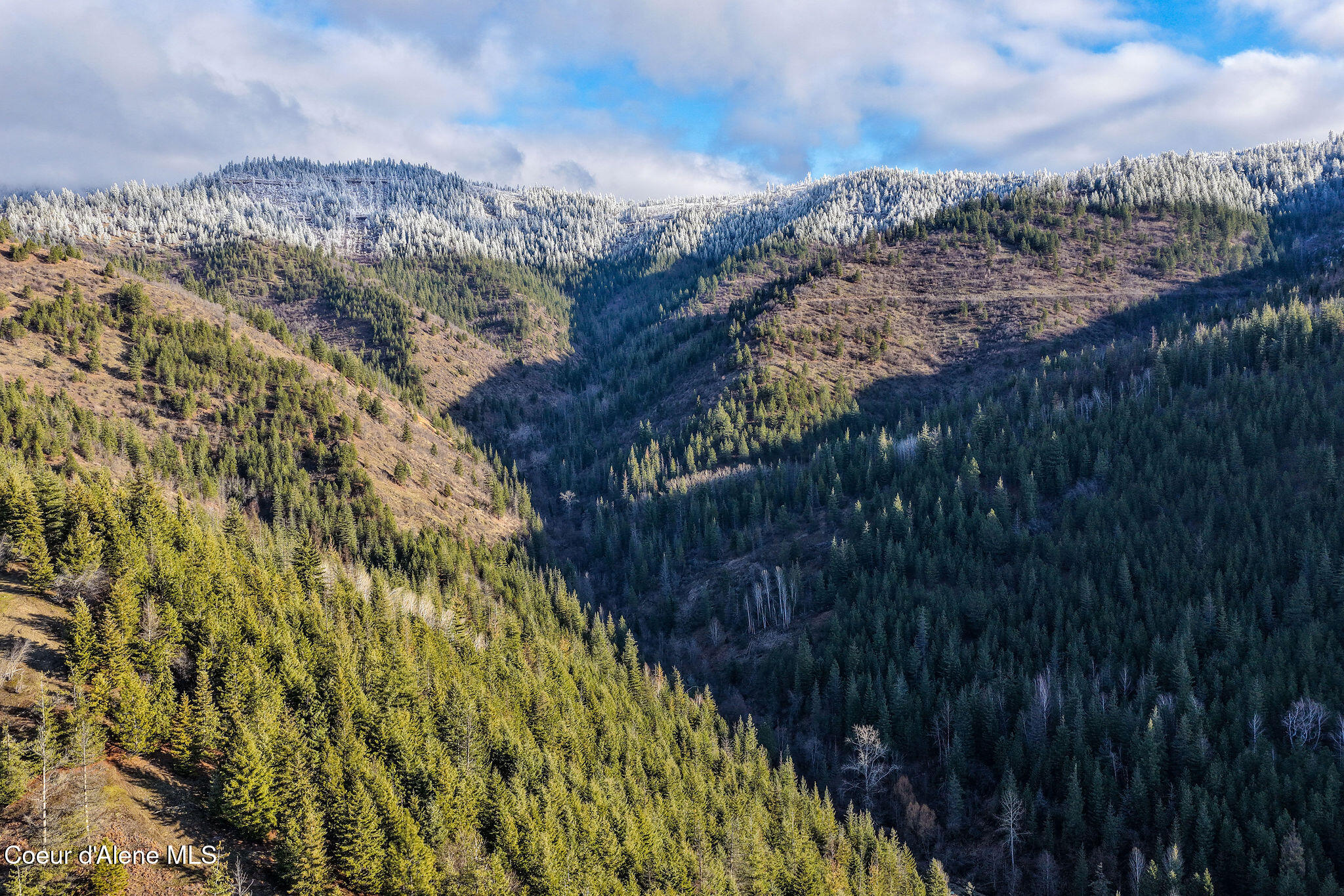 Kellogg, Idaho, 83837, United States, ,Land,For Sale,2012568