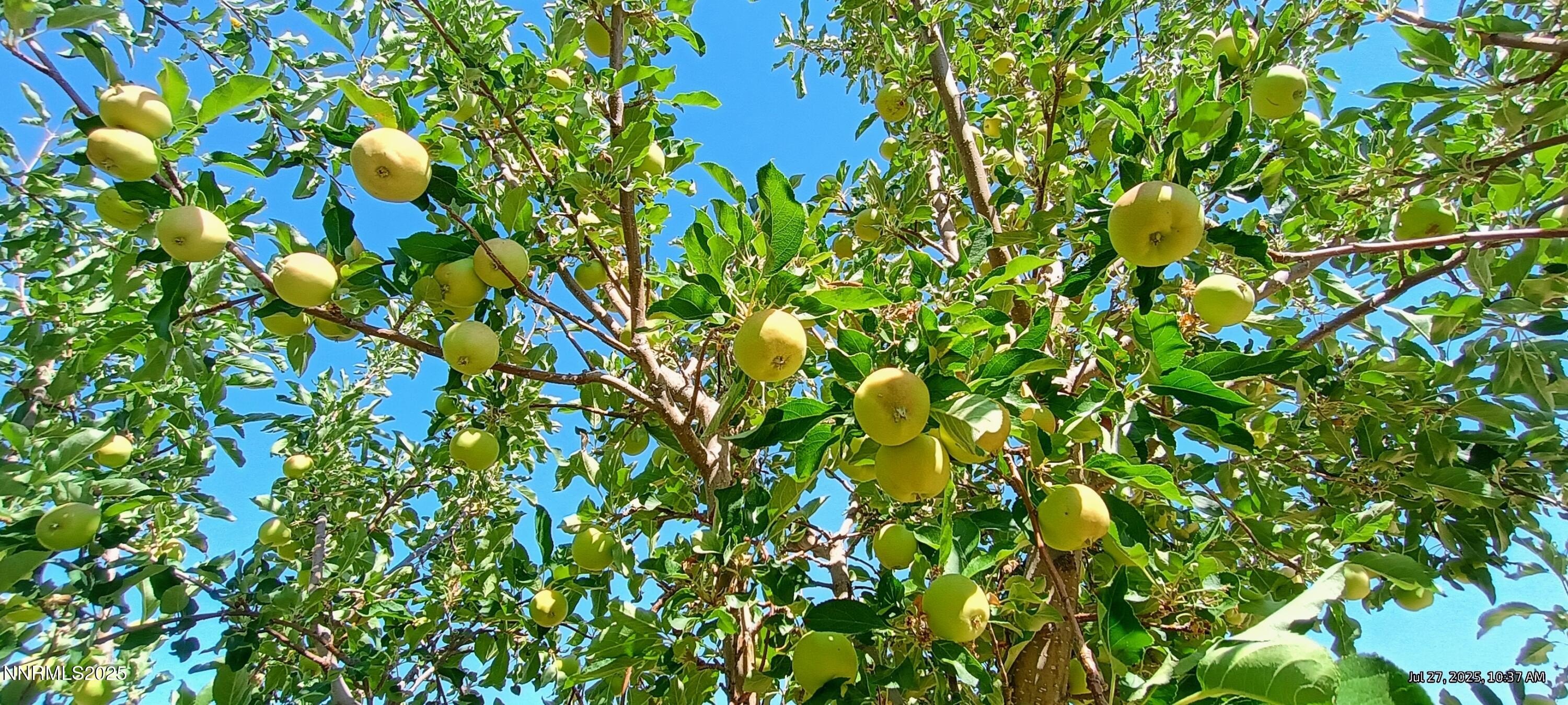 Spanish Springs, Nevada, 89436, United States, 3 Bedrooms Bedrooms, ,3 BathroomsBathrooms,Residential,For Sale,1982053