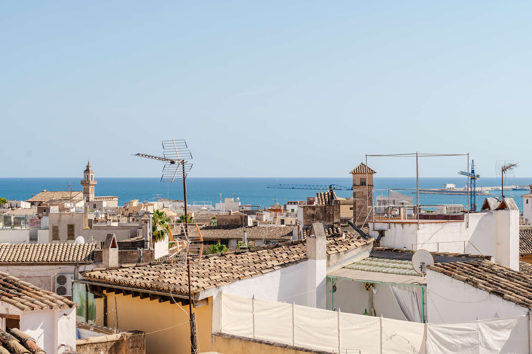  Renovated townhouse with terrace in Palma de Mallorca old town - 物件實景