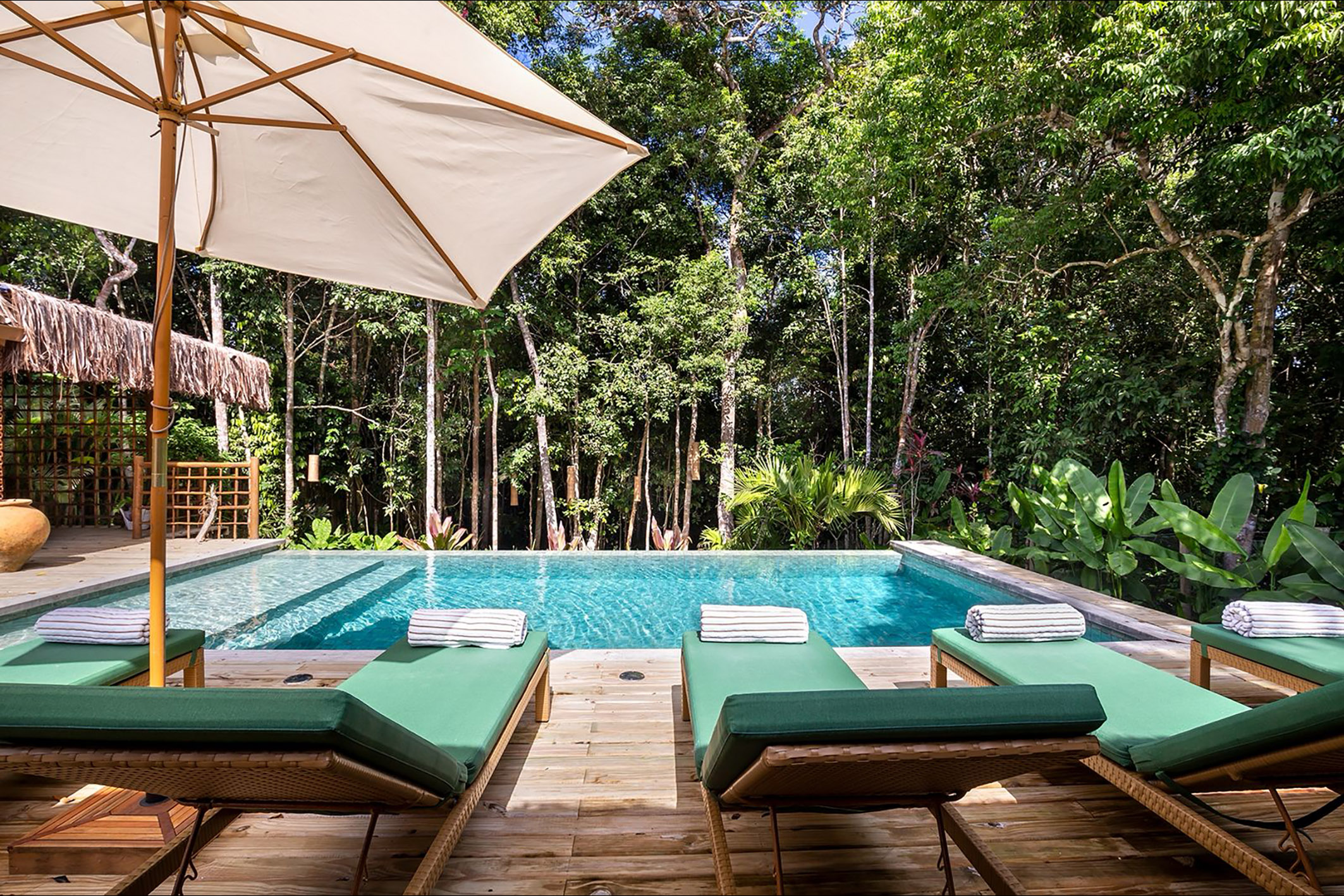  Refined residence with sophisticated interiors and native forest views - 物件實景