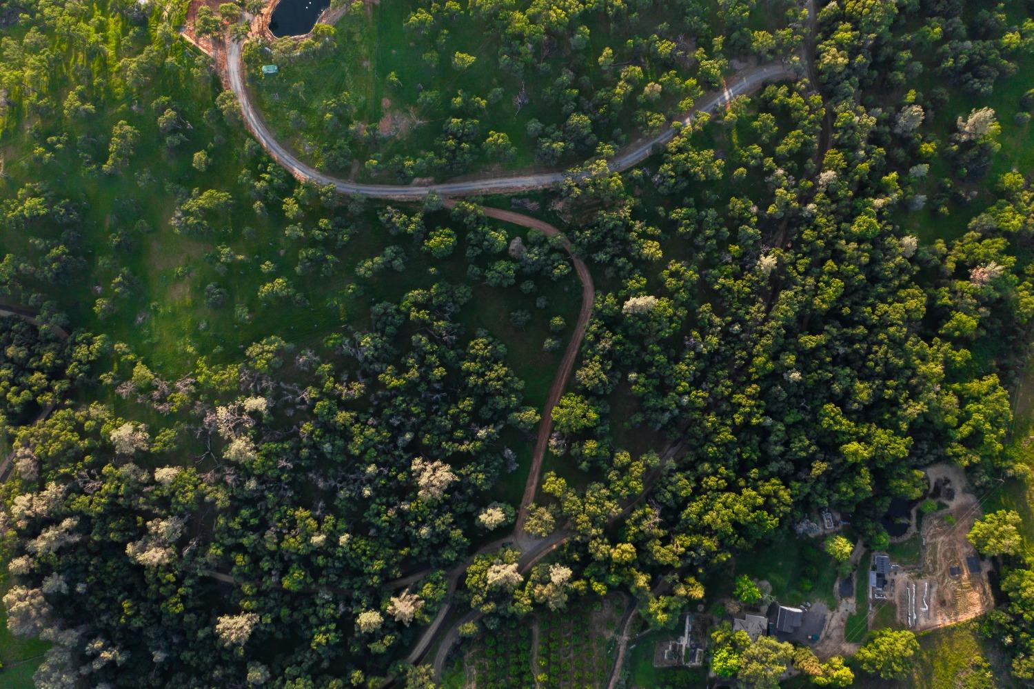 Lincoln, California, 95648, United States, ,Land,For Sale,1784125